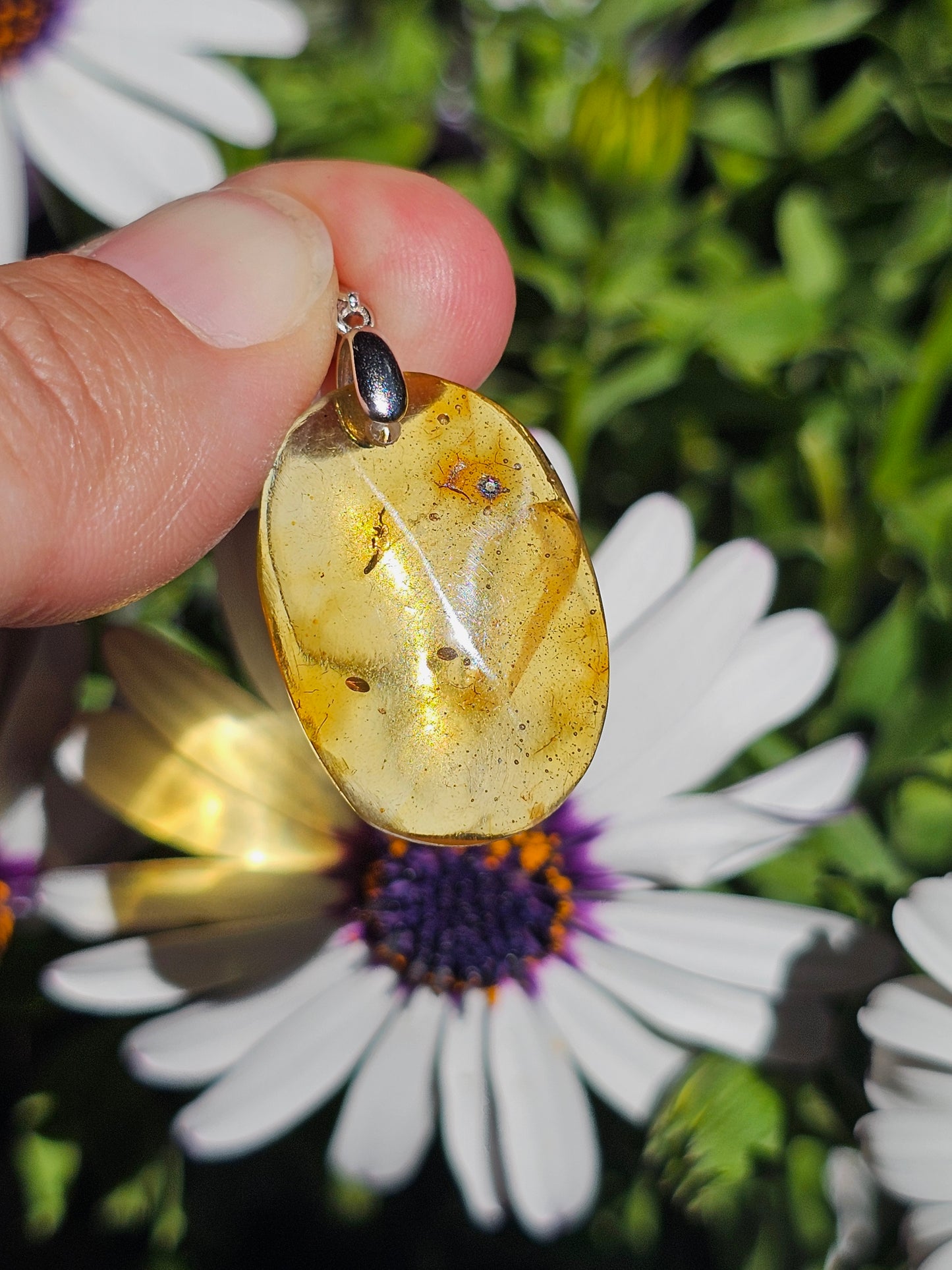 Pendentif en Ambre baltique n°6