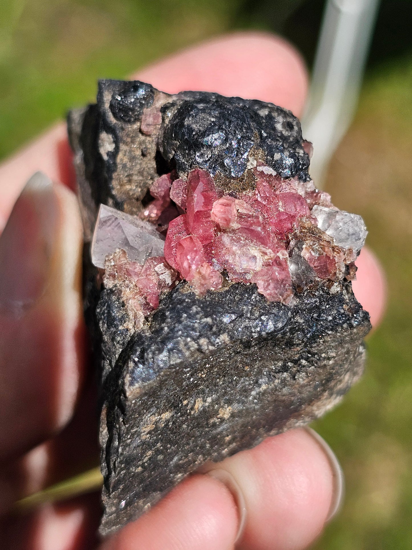 Rhodochrosite brute d'Argentine
