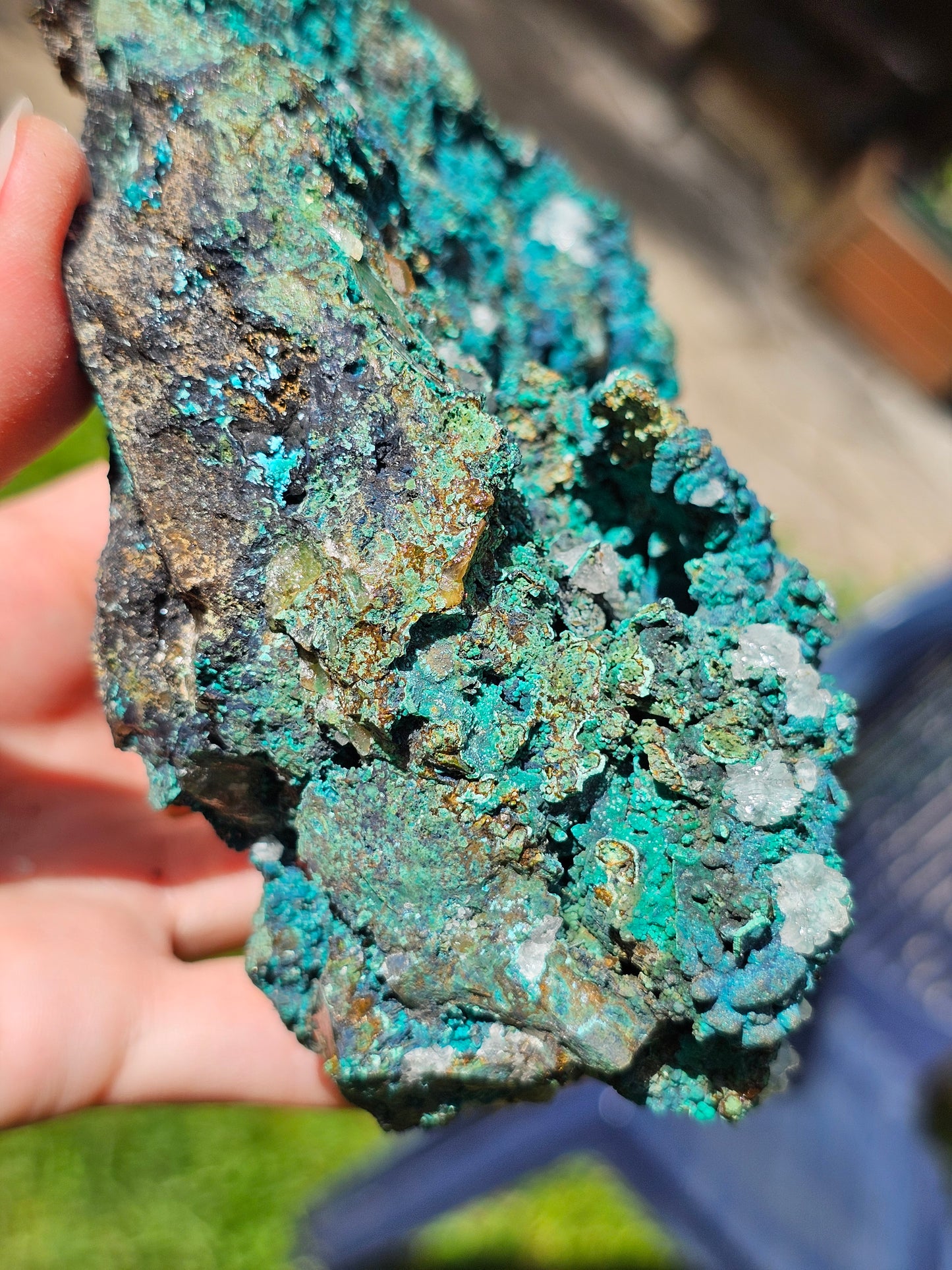 Superbe Chrysocolle du Pérou