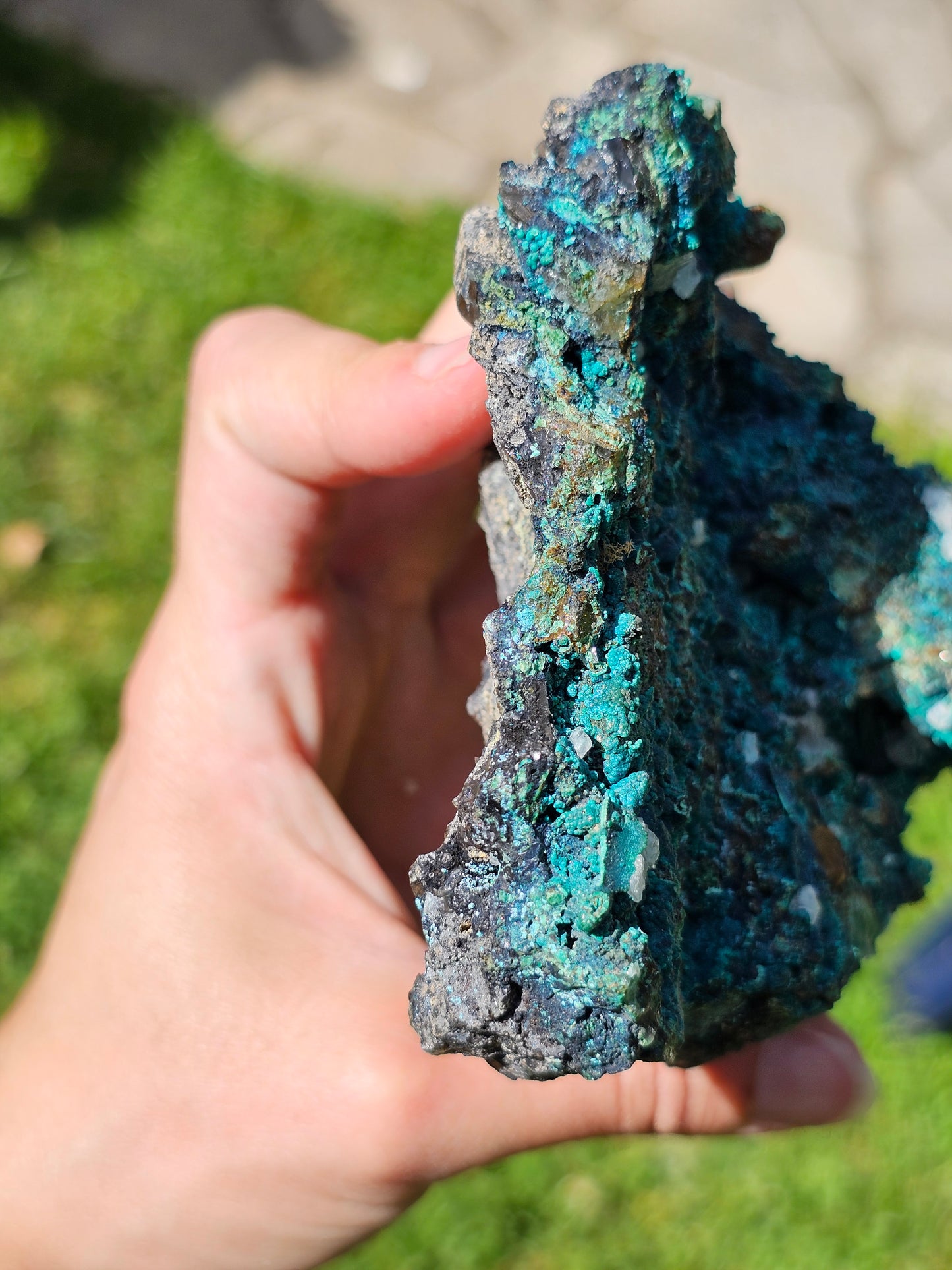 Superbe Chrysocolle du Pérou