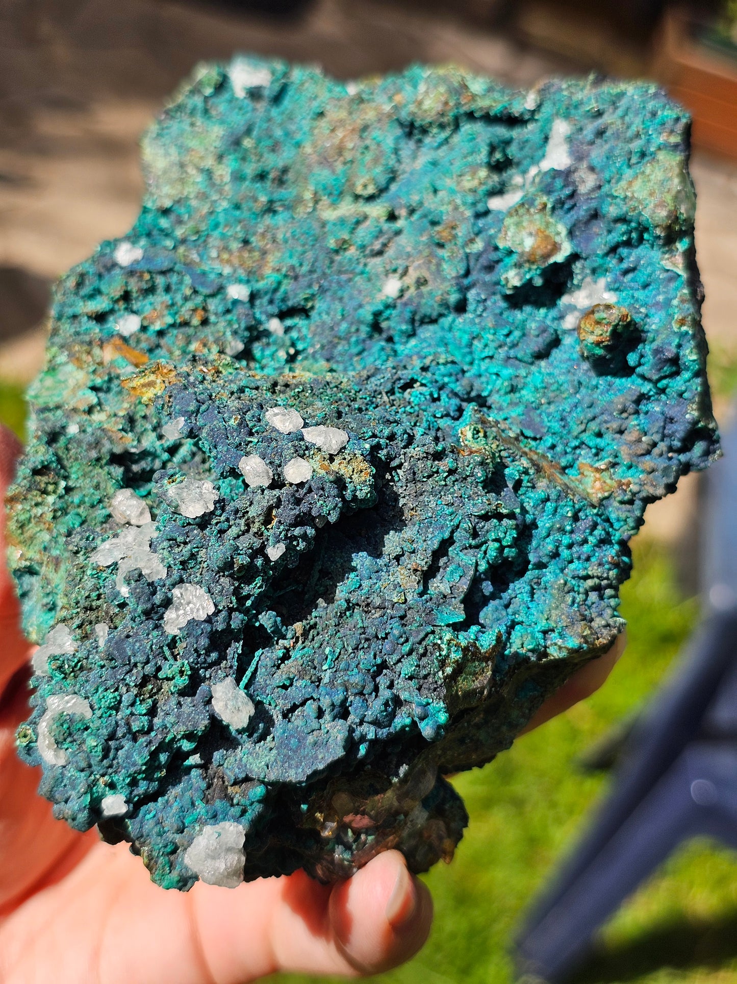 Superbe Chrysocolle du Pérou