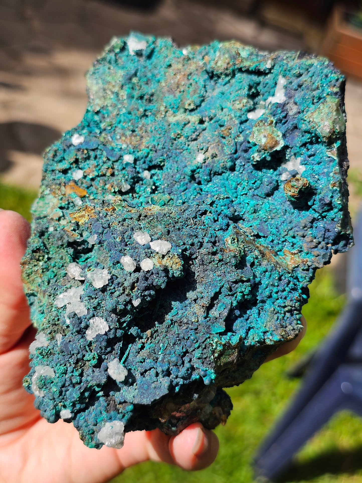 Superbe Chrysocolle du Pérou