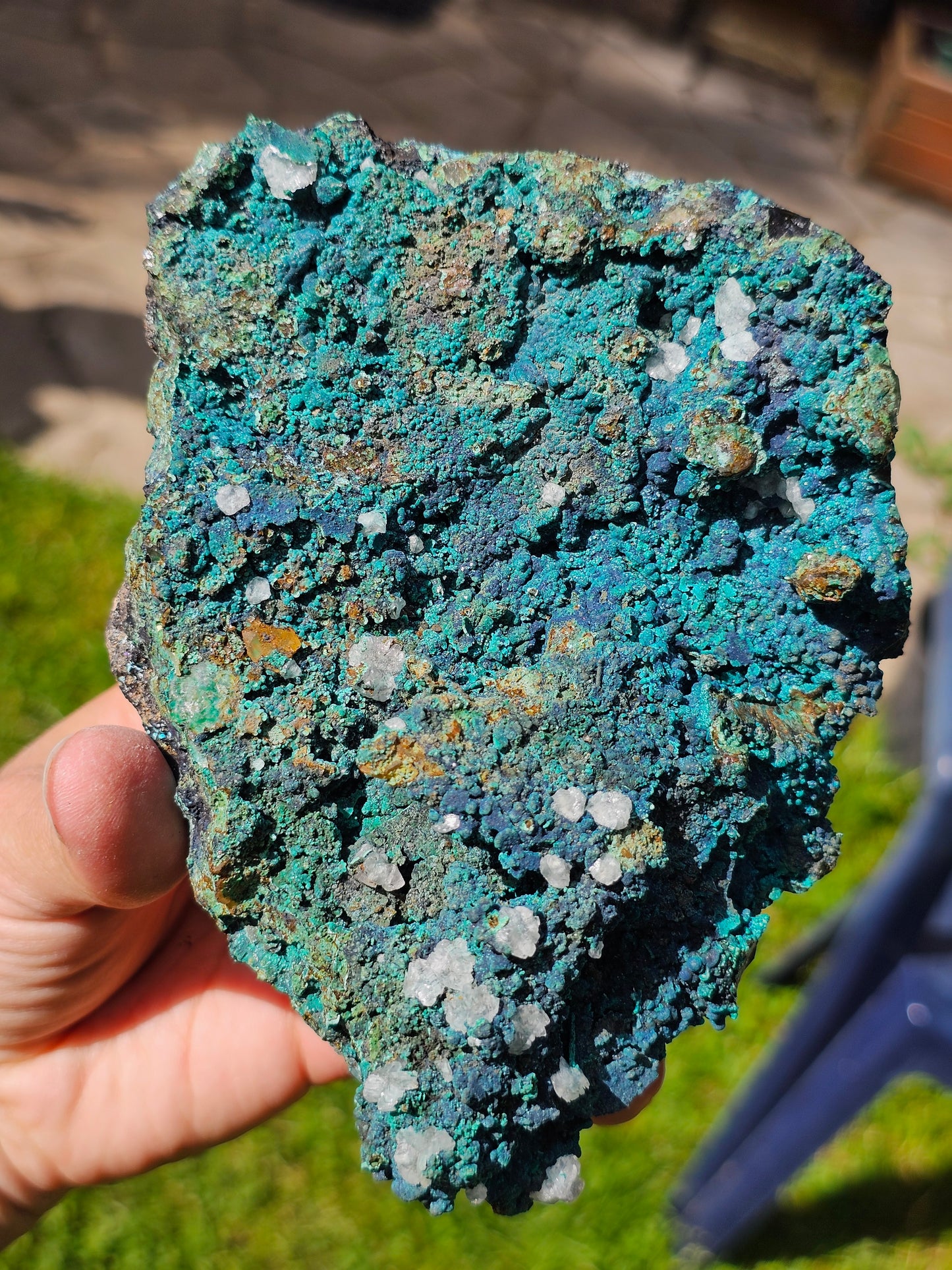 Superbe Chrysocolle du Pérou