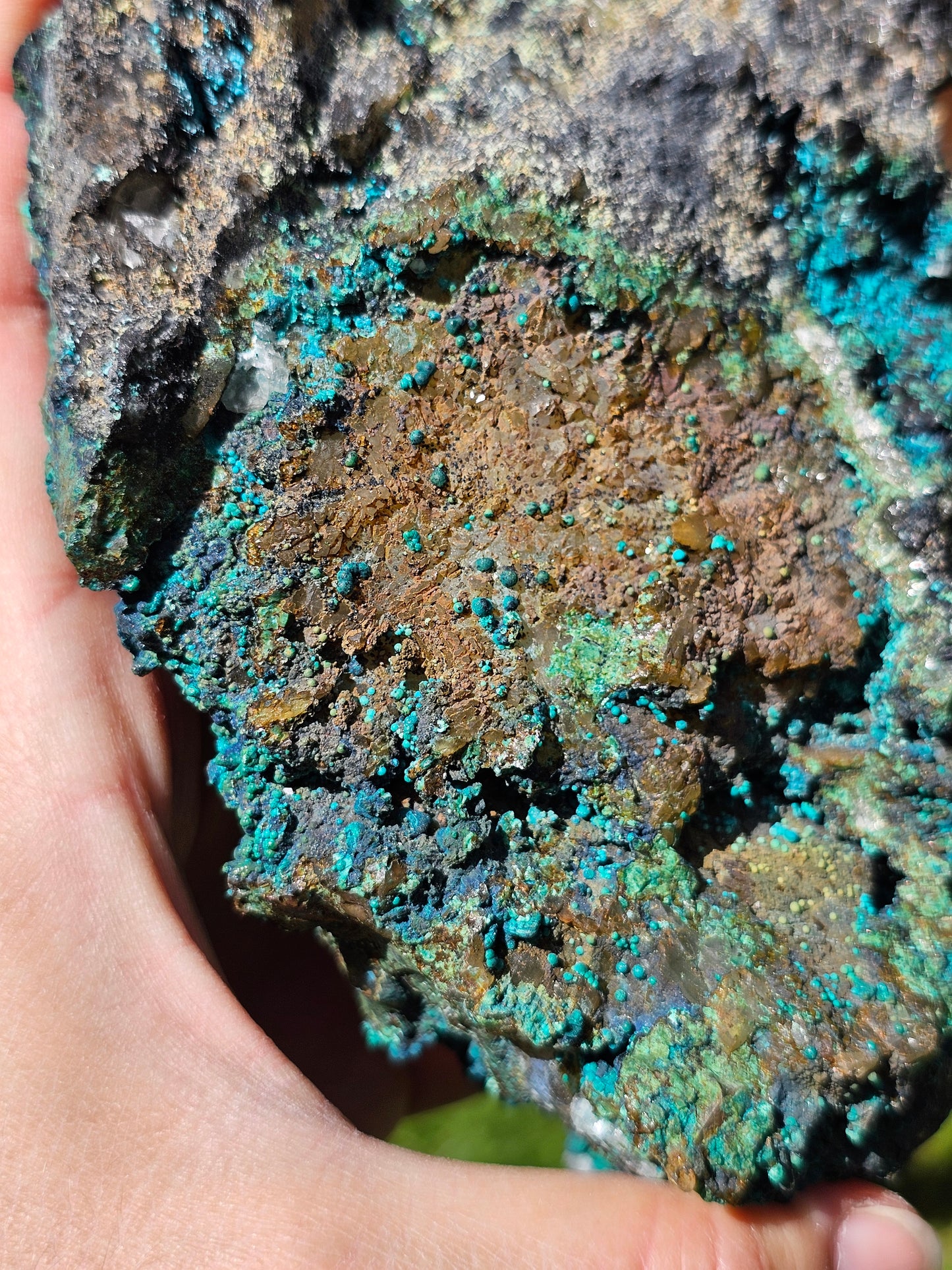 Superbe Chrysocolle du Pérou