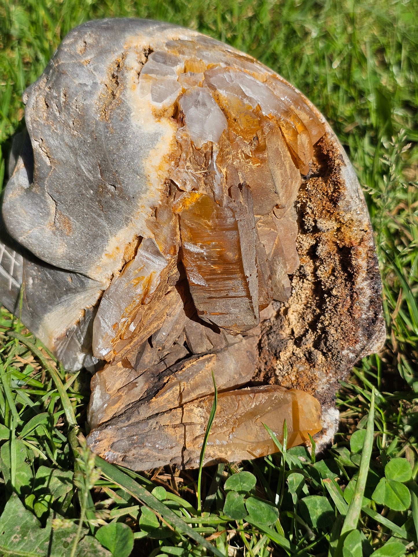 Magnifique Crâne de Quartz du Pérou A