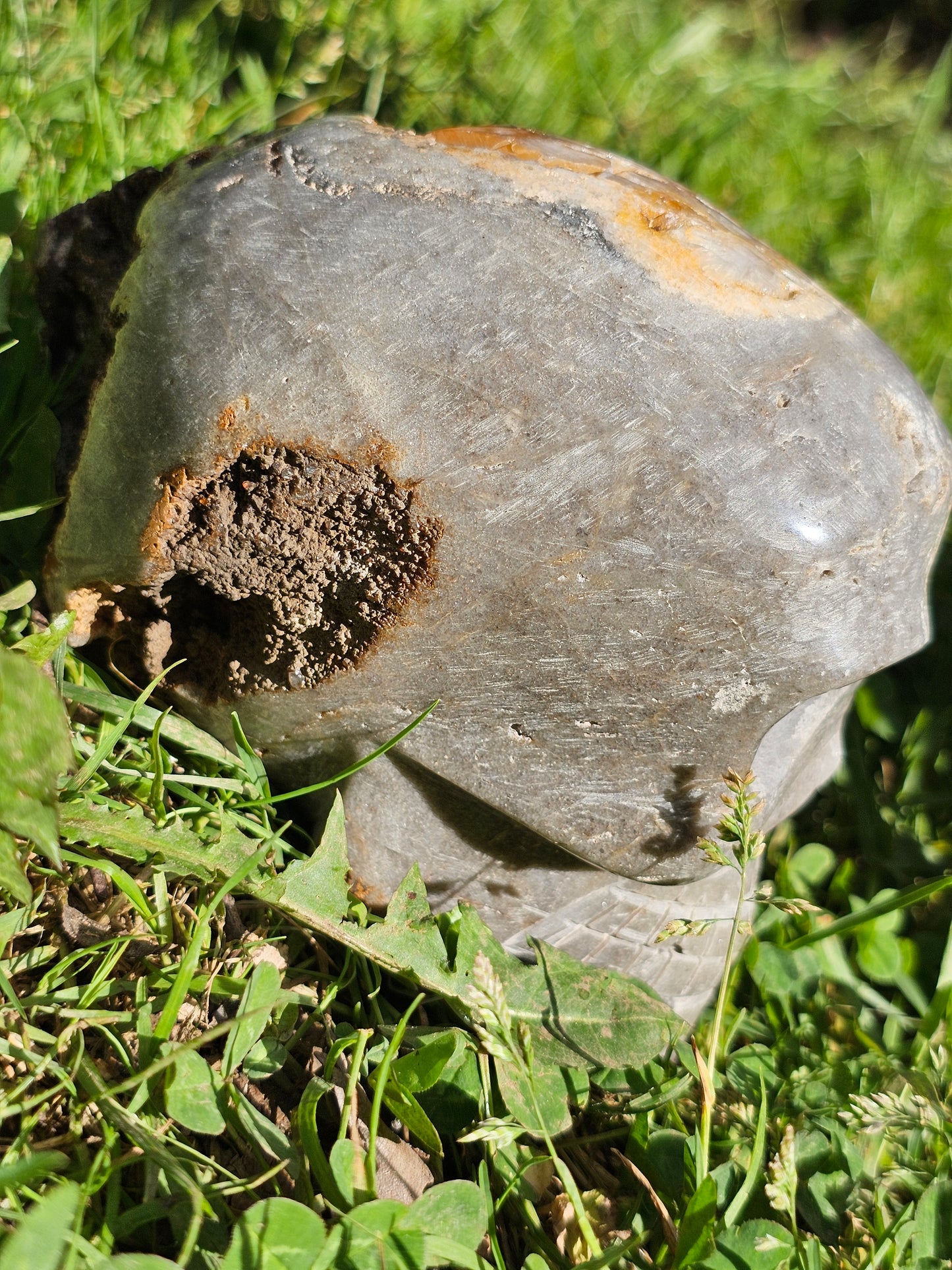 Magnifique Crâne de Quartz du Pérou A