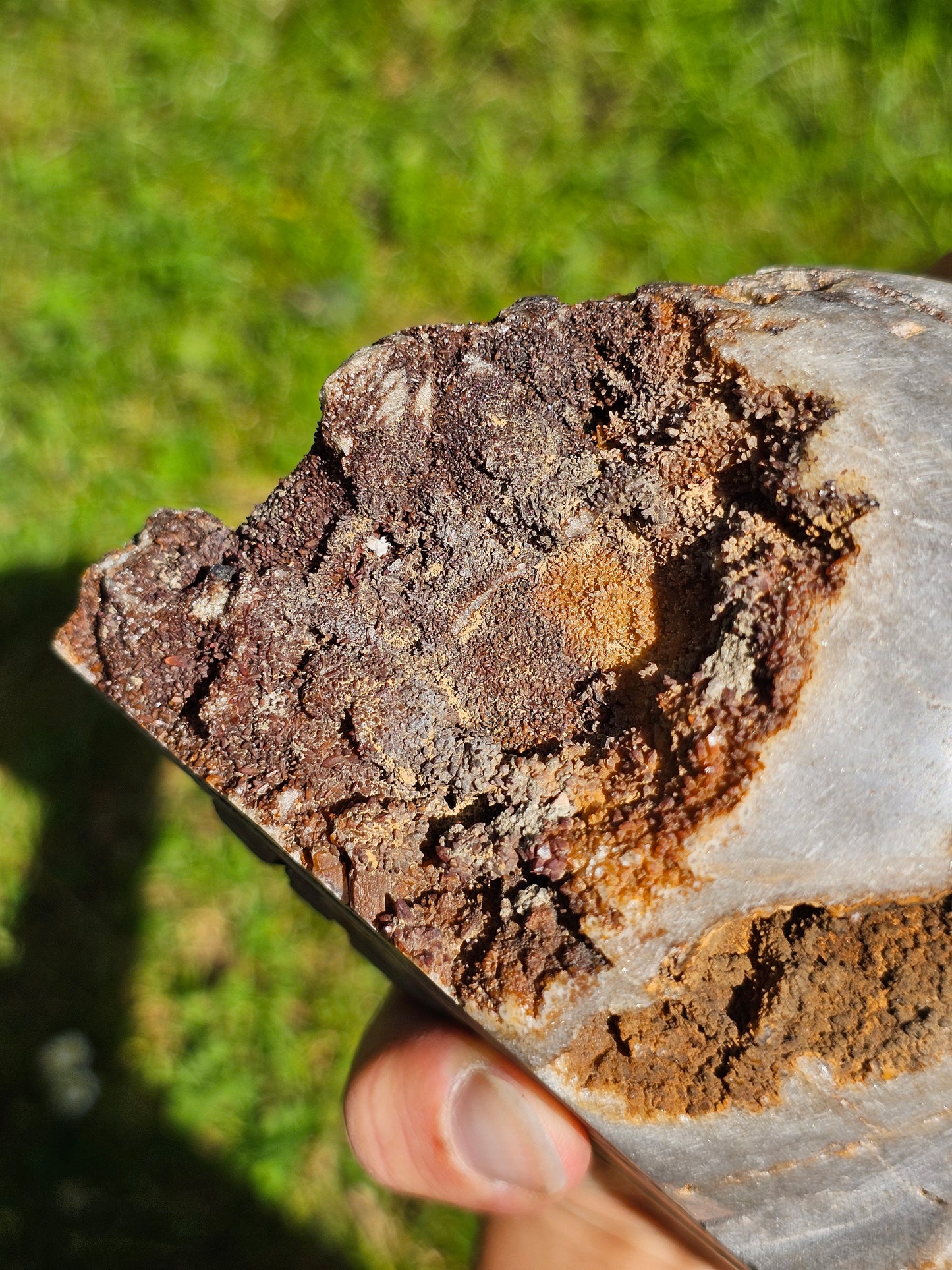 Magnifique Crâne de Quartz du Pérou A