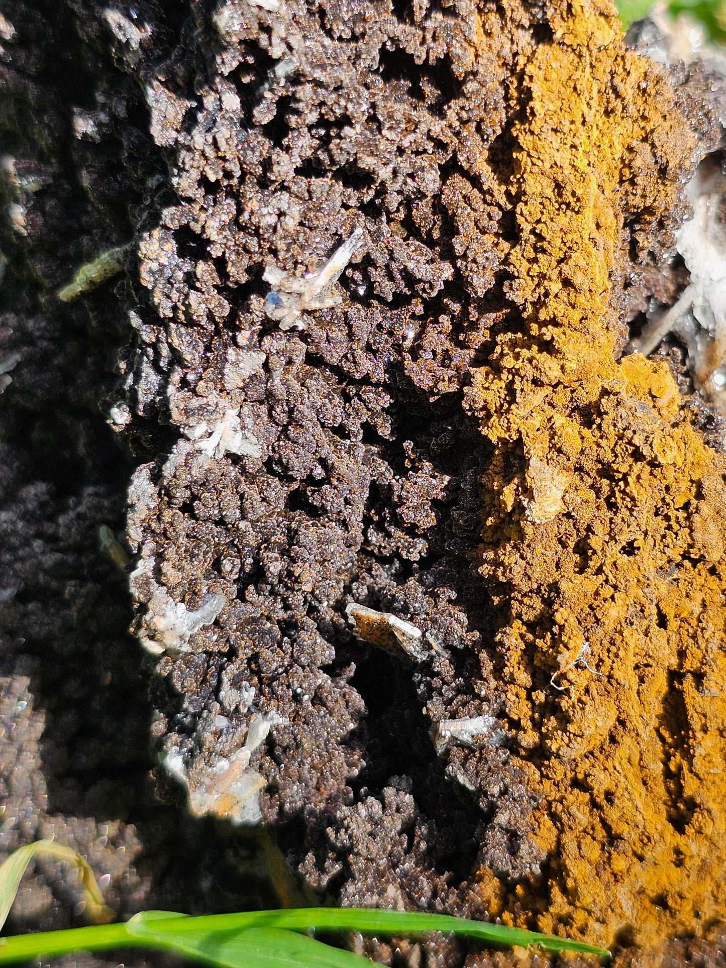 Grosse Goethite du Maroc avec Baryte