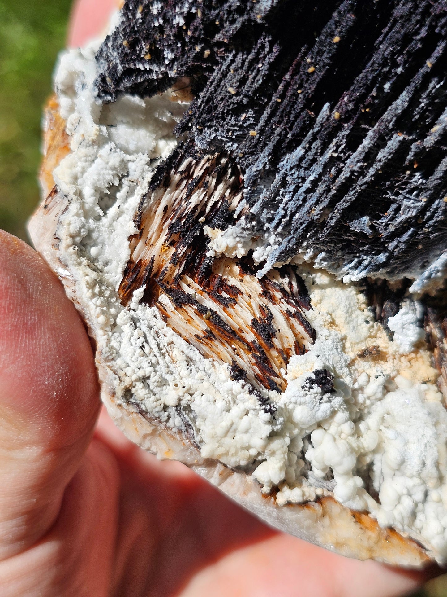 Incroyable Goethite du Maroc avec Baryte, Aragonite et Vanadinite