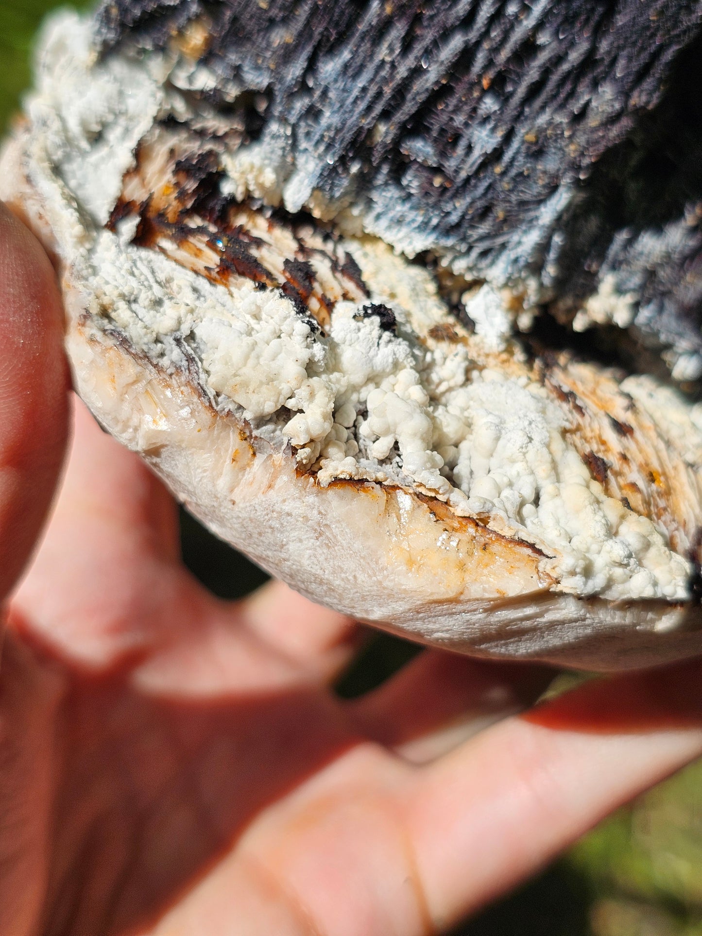 Incroyable Goethite du Maroc avec Baryte, Aragonite et Vanadinite
