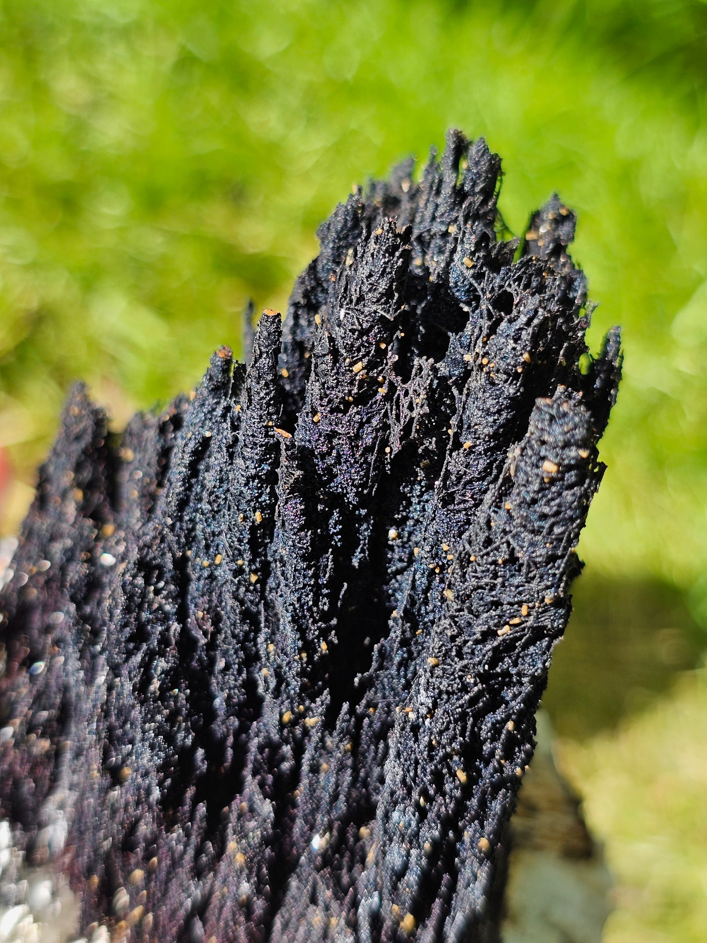 Incroyable Goethite du Maroc avec Baryte, Aragonite et Vanadinite