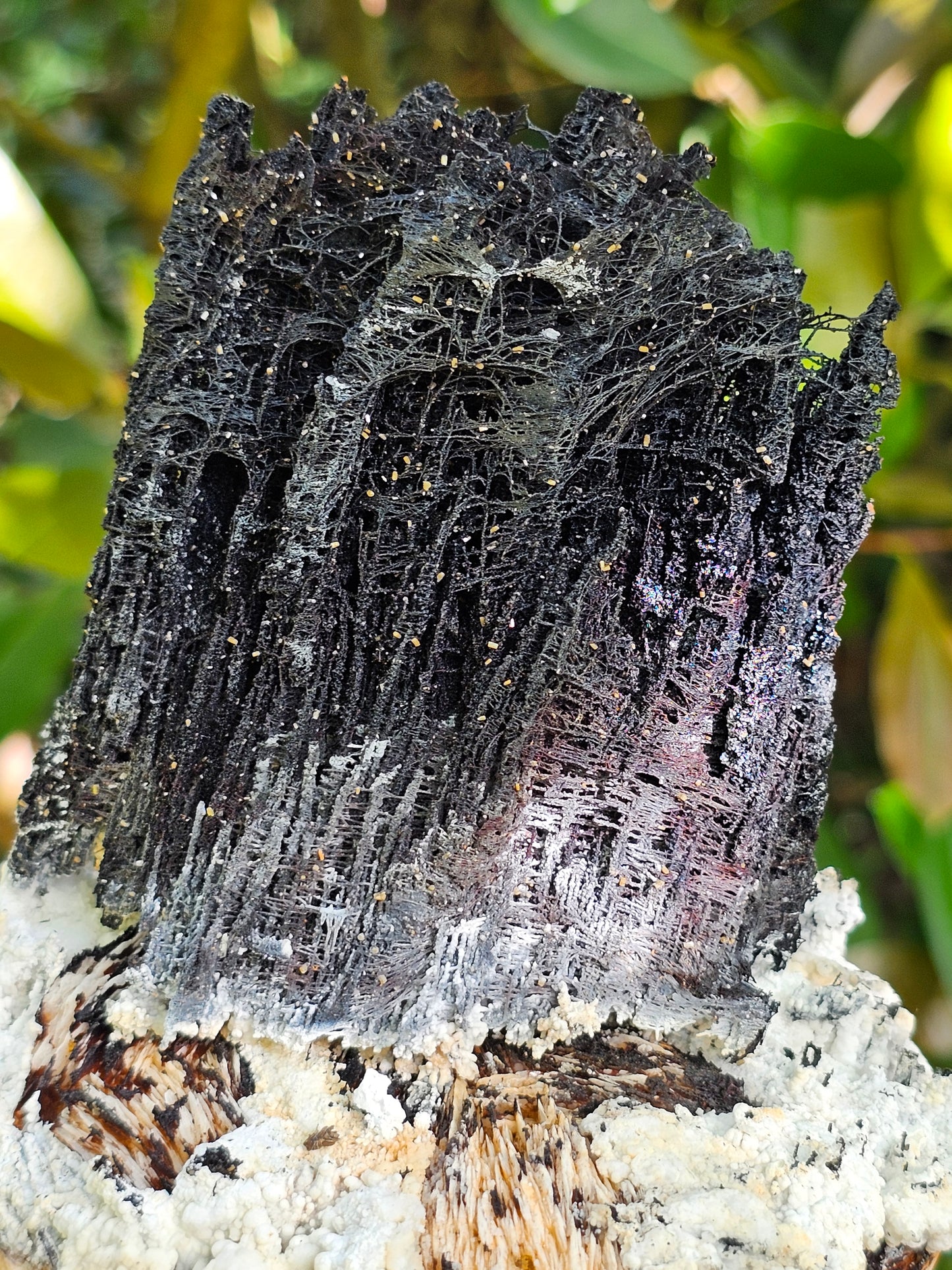 Incroyable Goethite du Maroc avec Baryte, Aragonite et Vanadinite