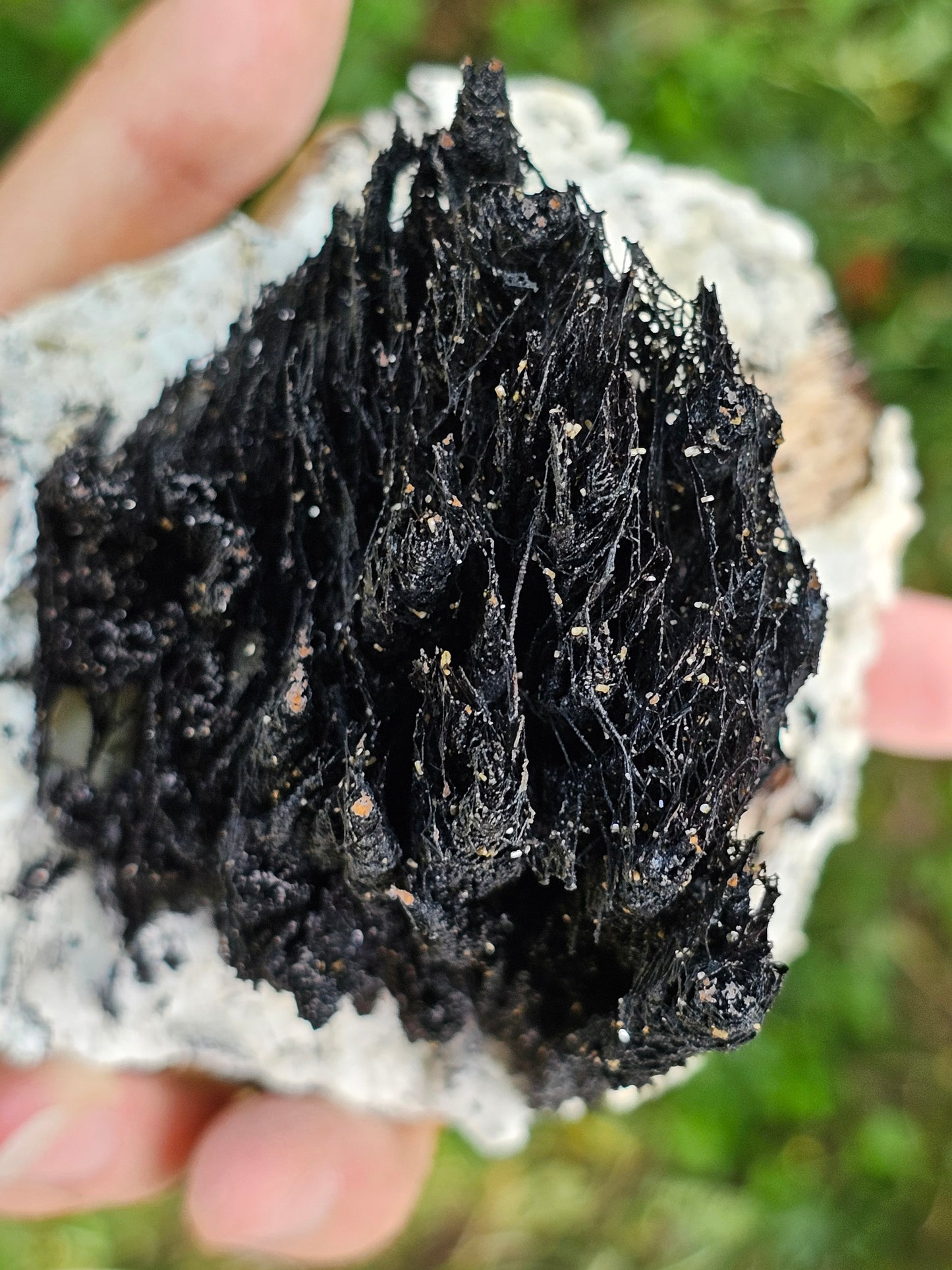 Incroyable Goethite du Maroc avec Baryte, Aragonite et Vanadinite