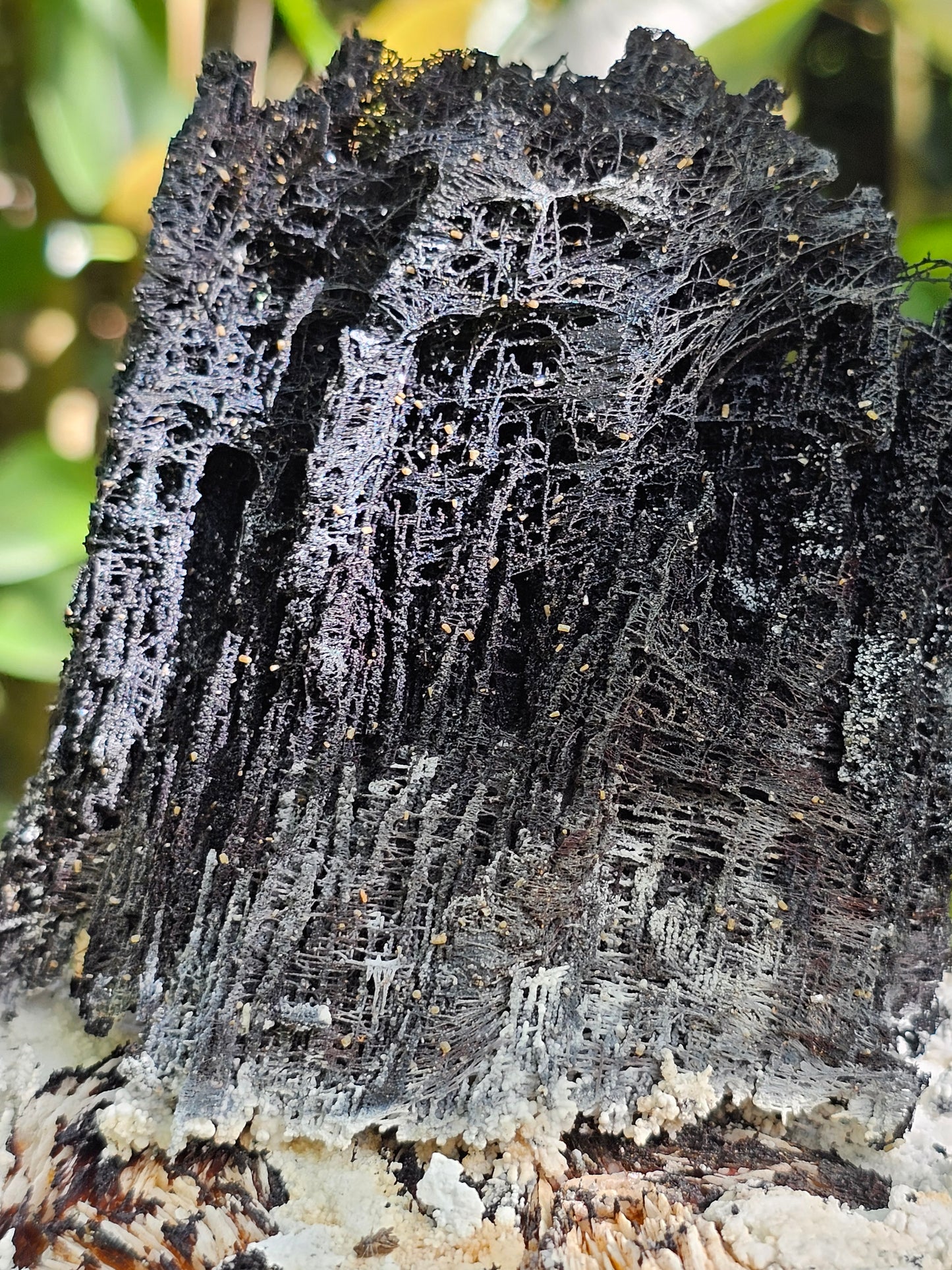 Incroyable Goethite du Maroc avec Baryte, Aragonite et Vanadinite