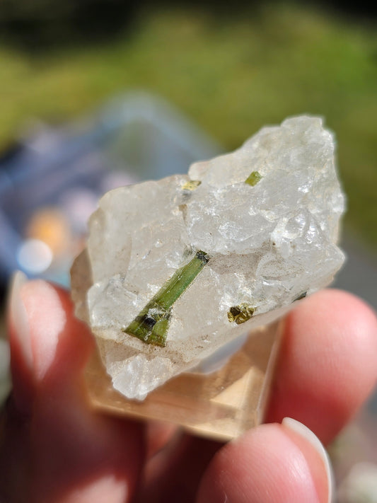 Tourmaline verte sur Quartz T10