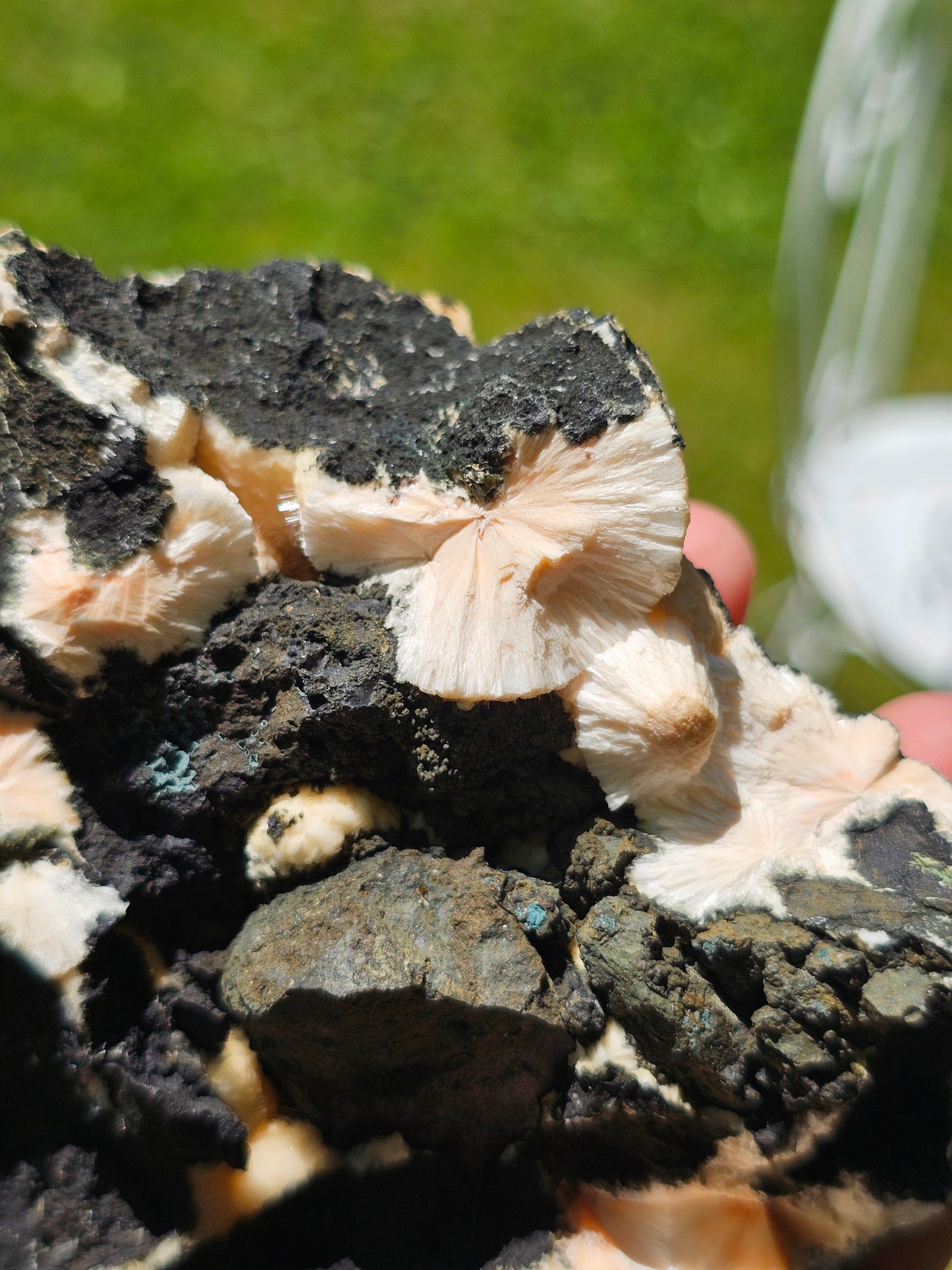 Thomsonite n°15