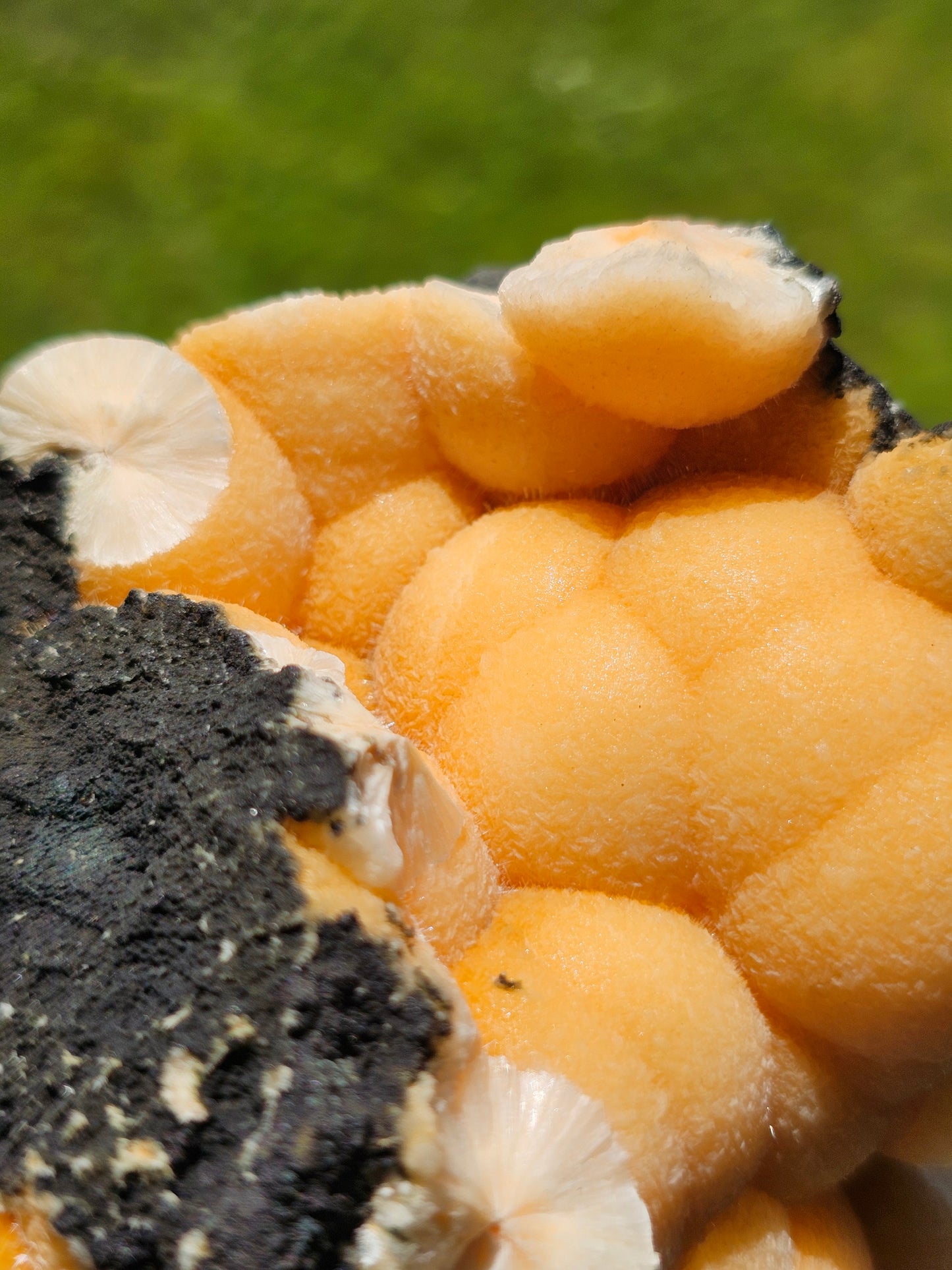 Thomsonite n°15