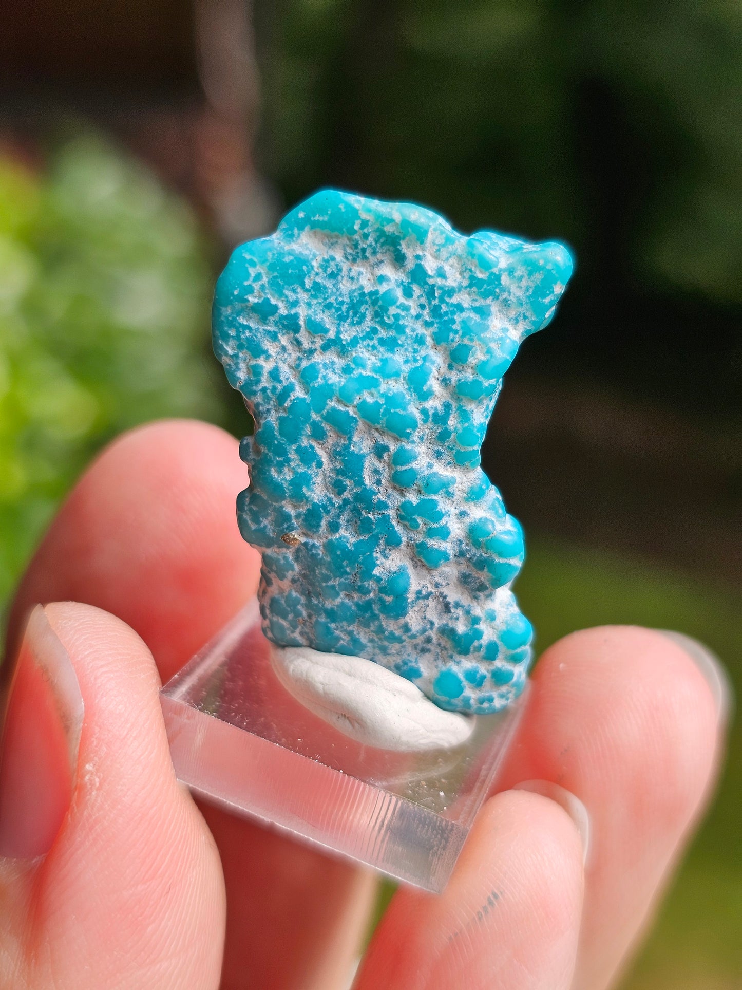 Turquoise d'Arizona n°2