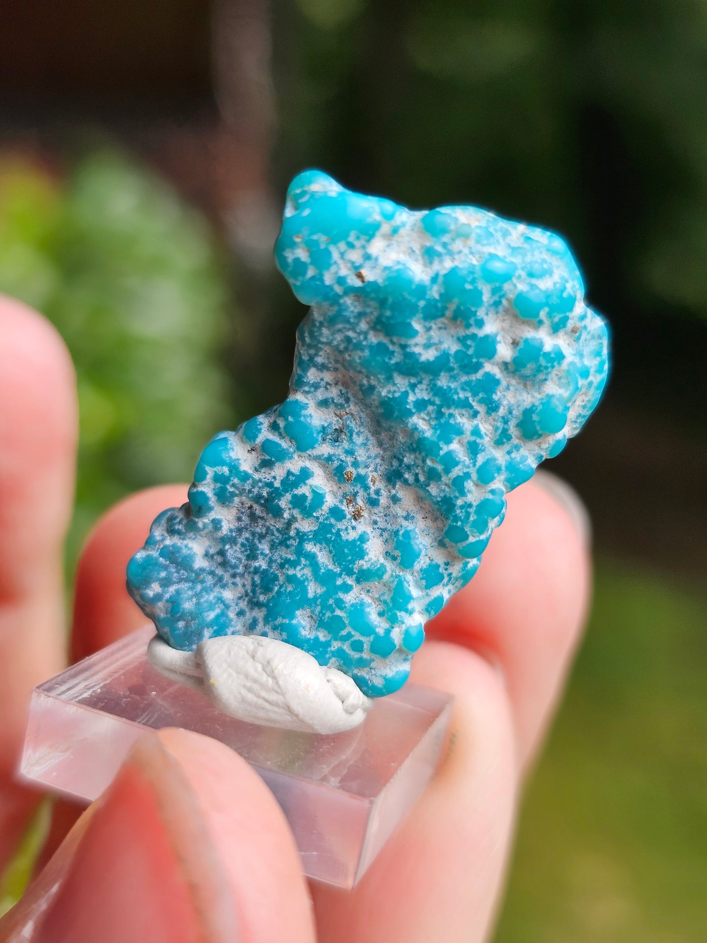 Turquoise d'Arizona n°2