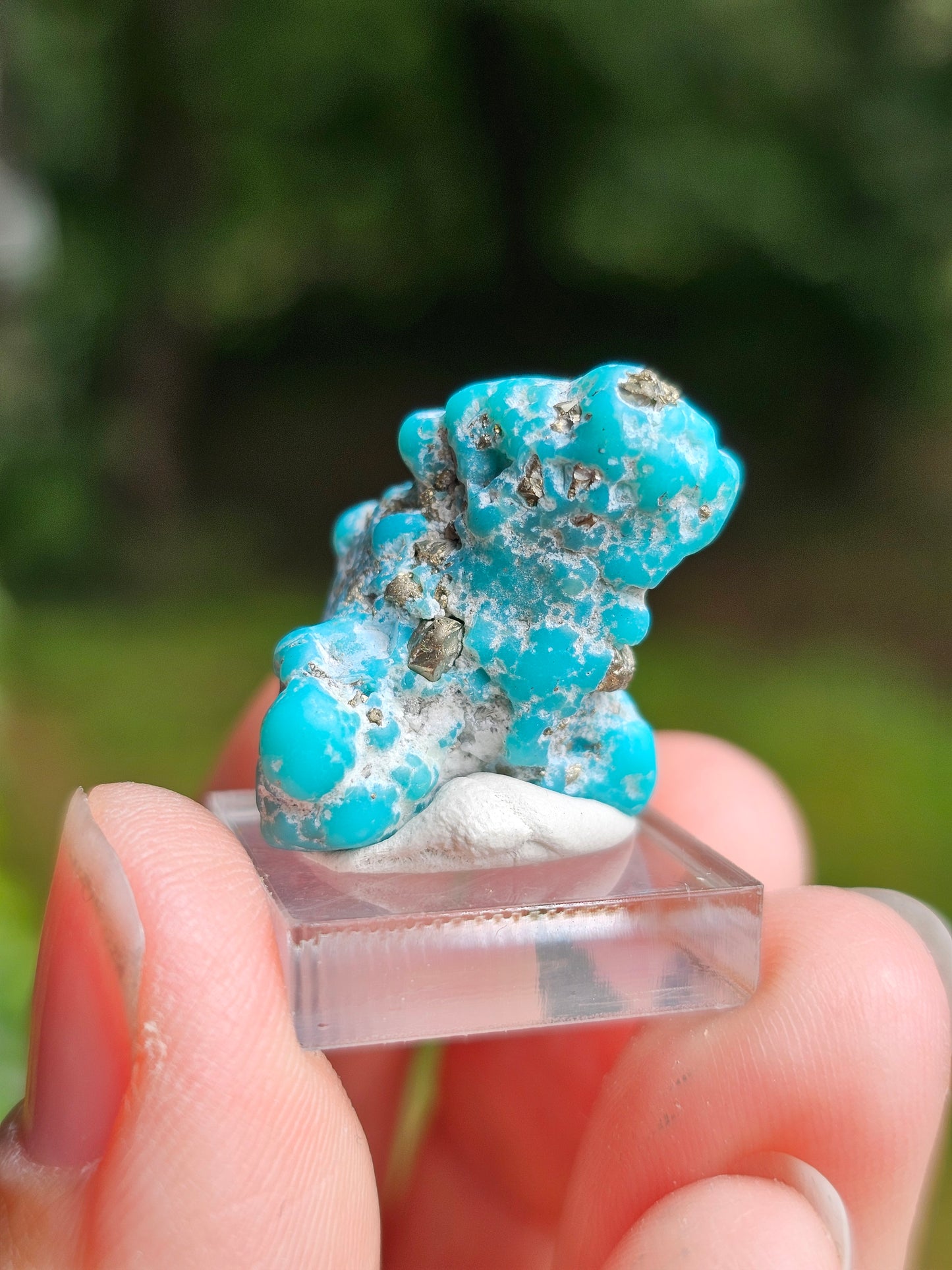Turquoise d'Arizona n°3