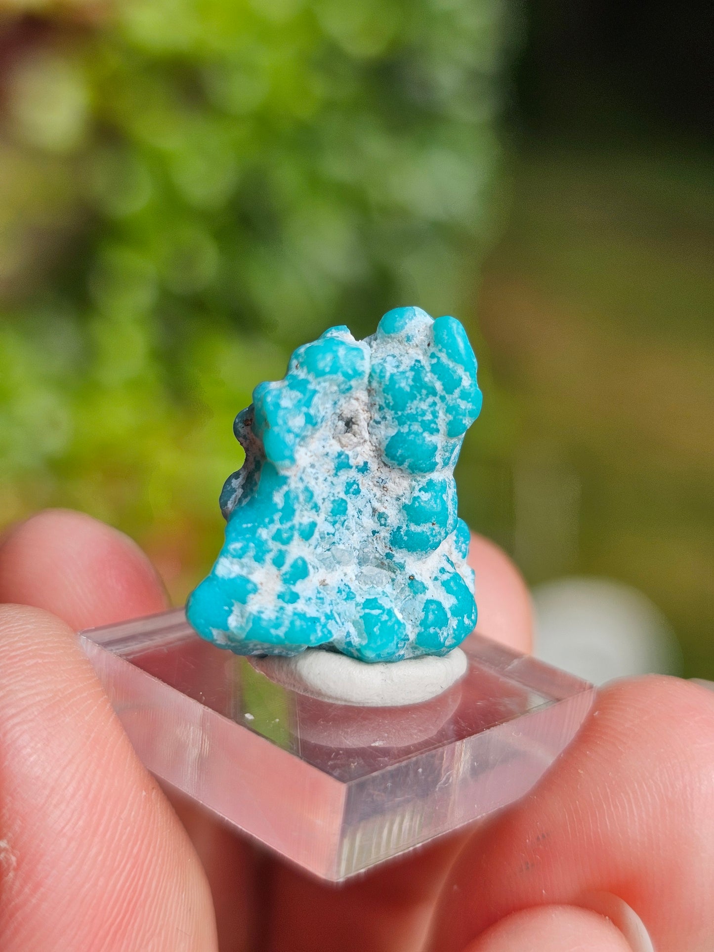 Turquoise d'Arizona n°4