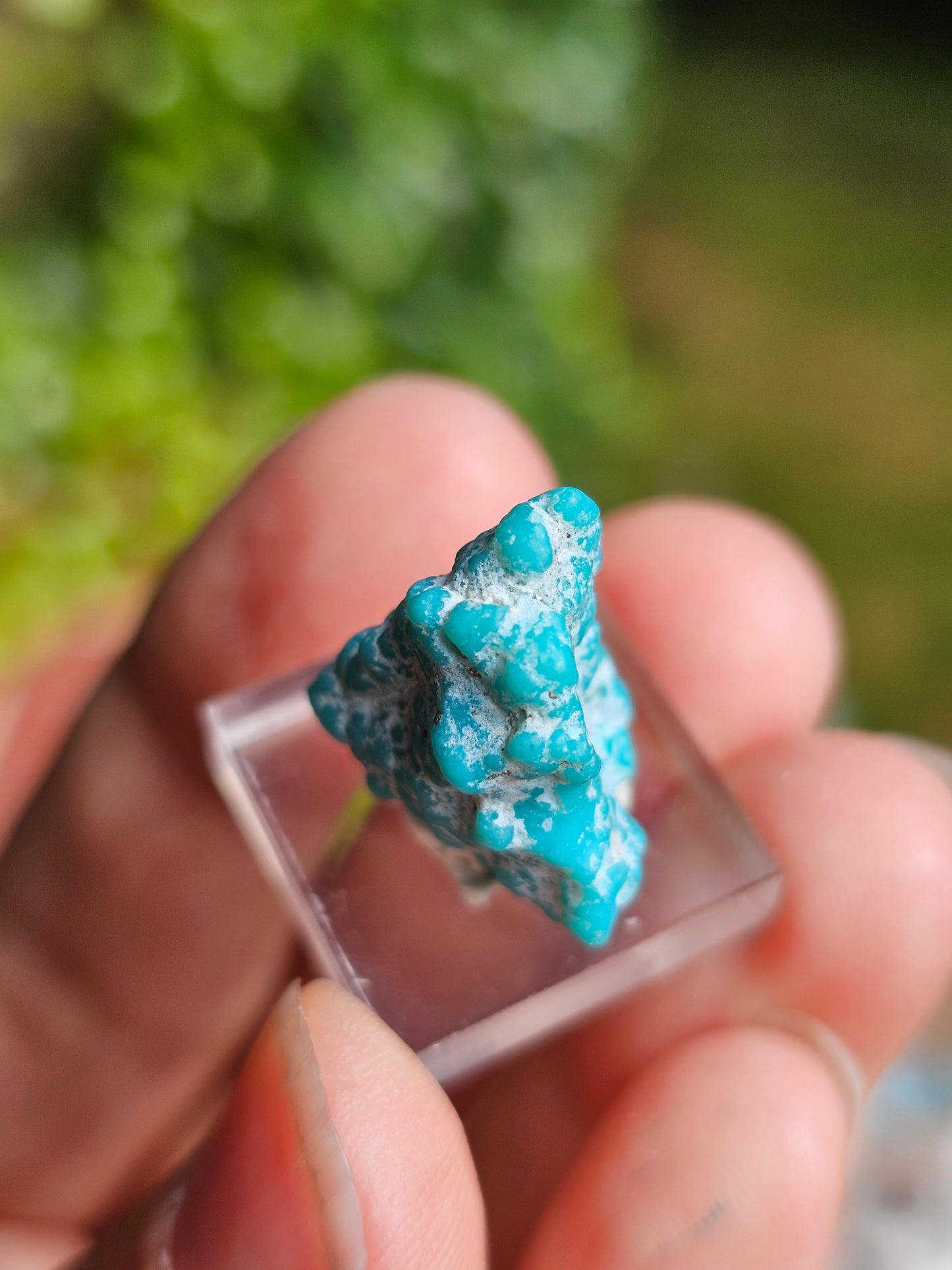 Turquoise d'Arizona n°4