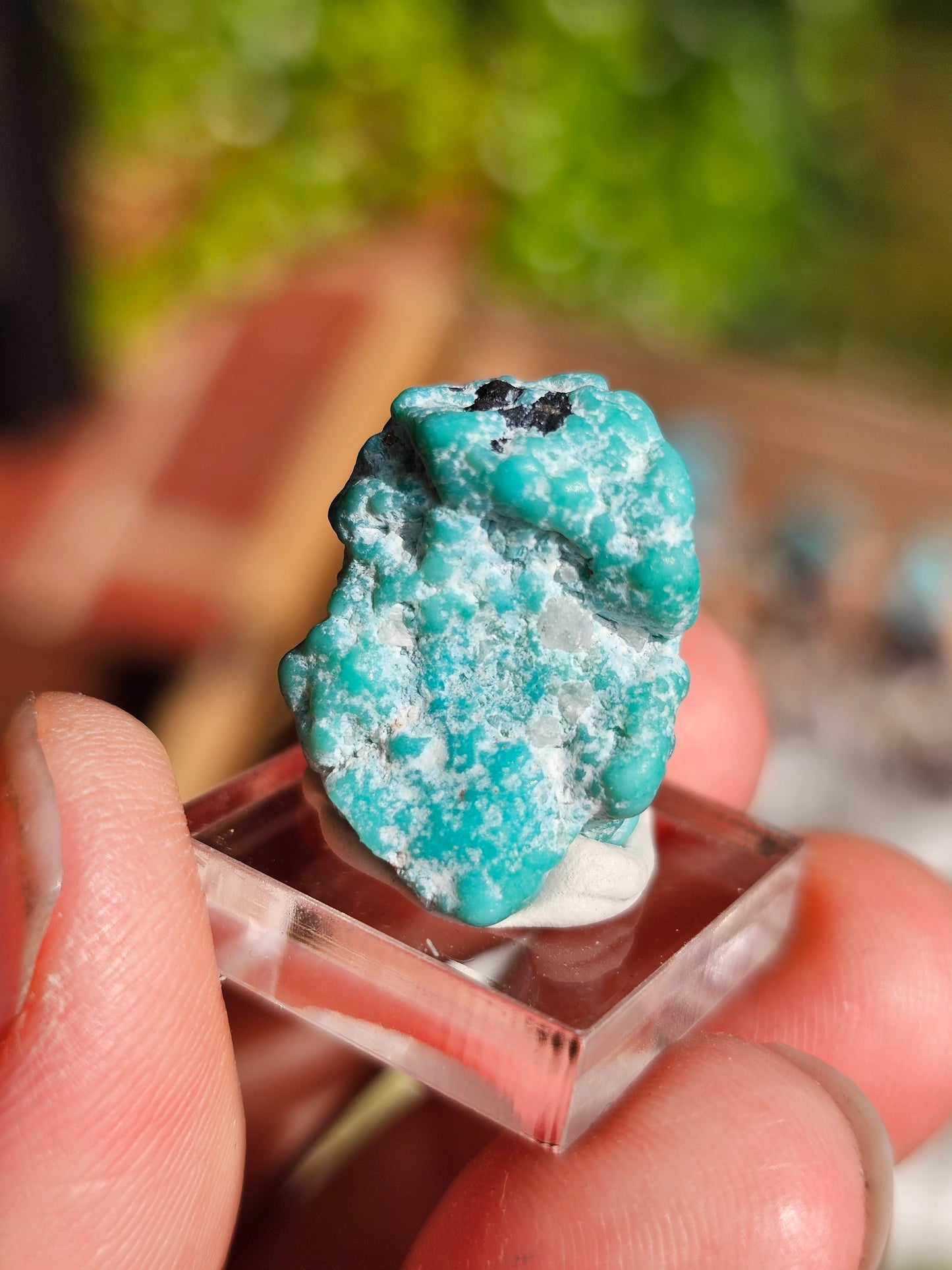 Turquoise d'Arizona n°5