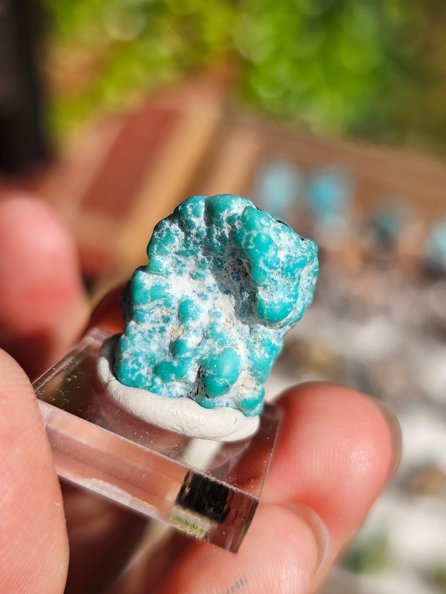 Turquoise d'Arizona n°5