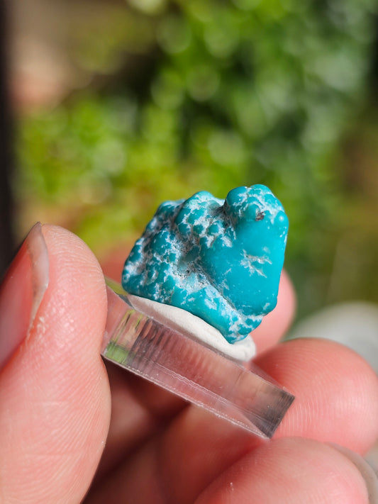 Turquoise d'Arizona n°6