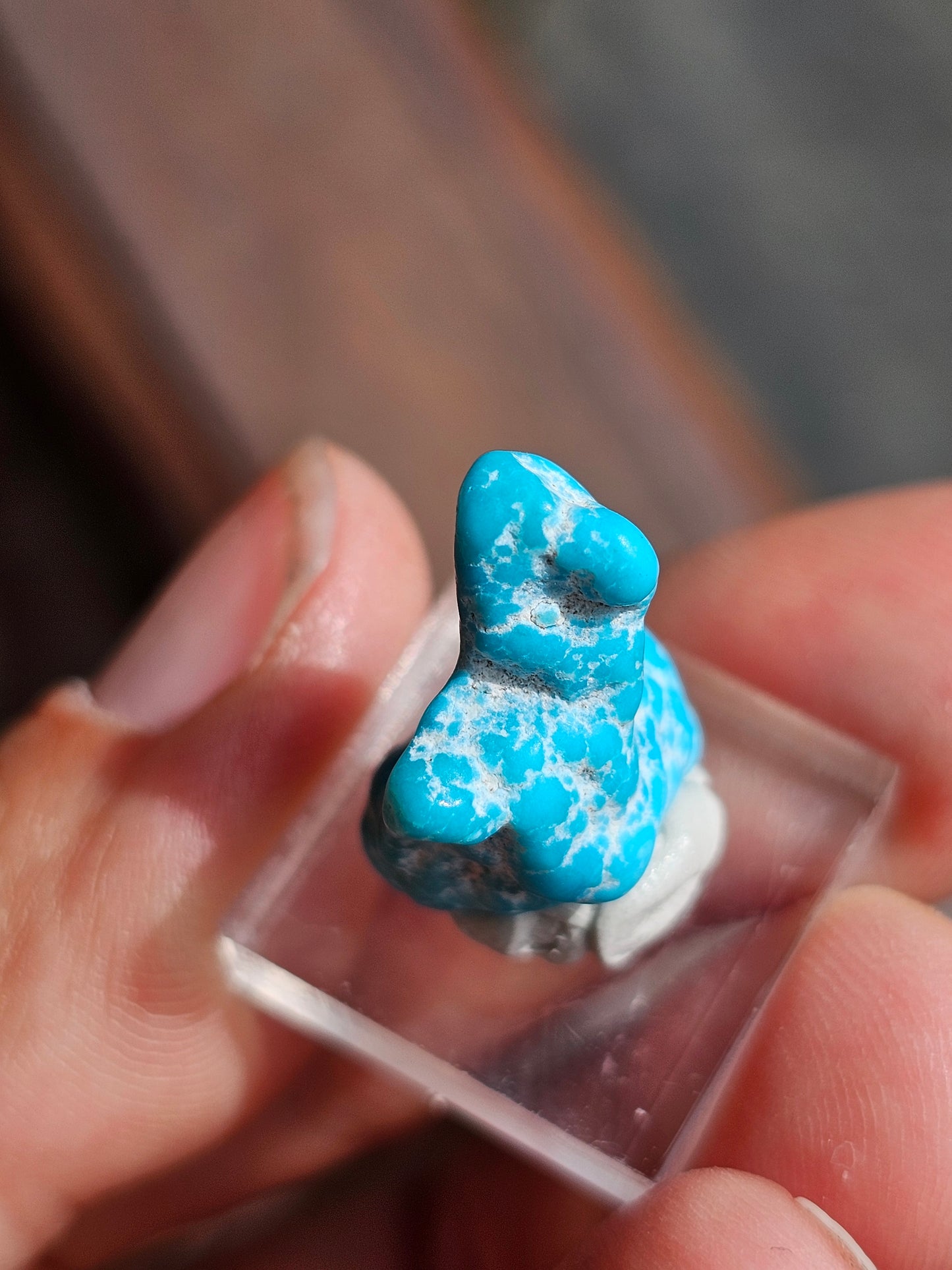 Turquoise d'Arizona n°7