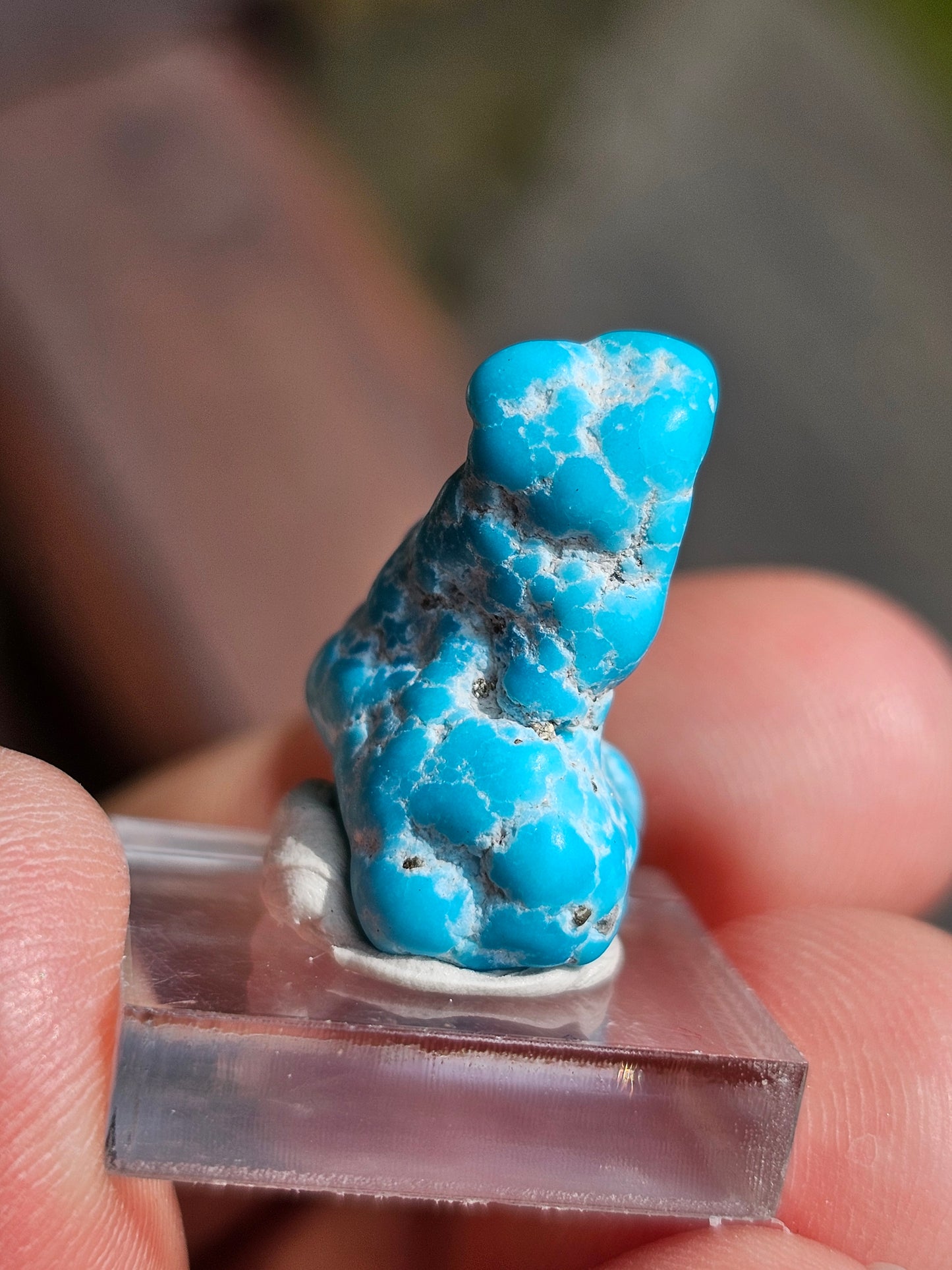 Turquoise d'Arizona n°7