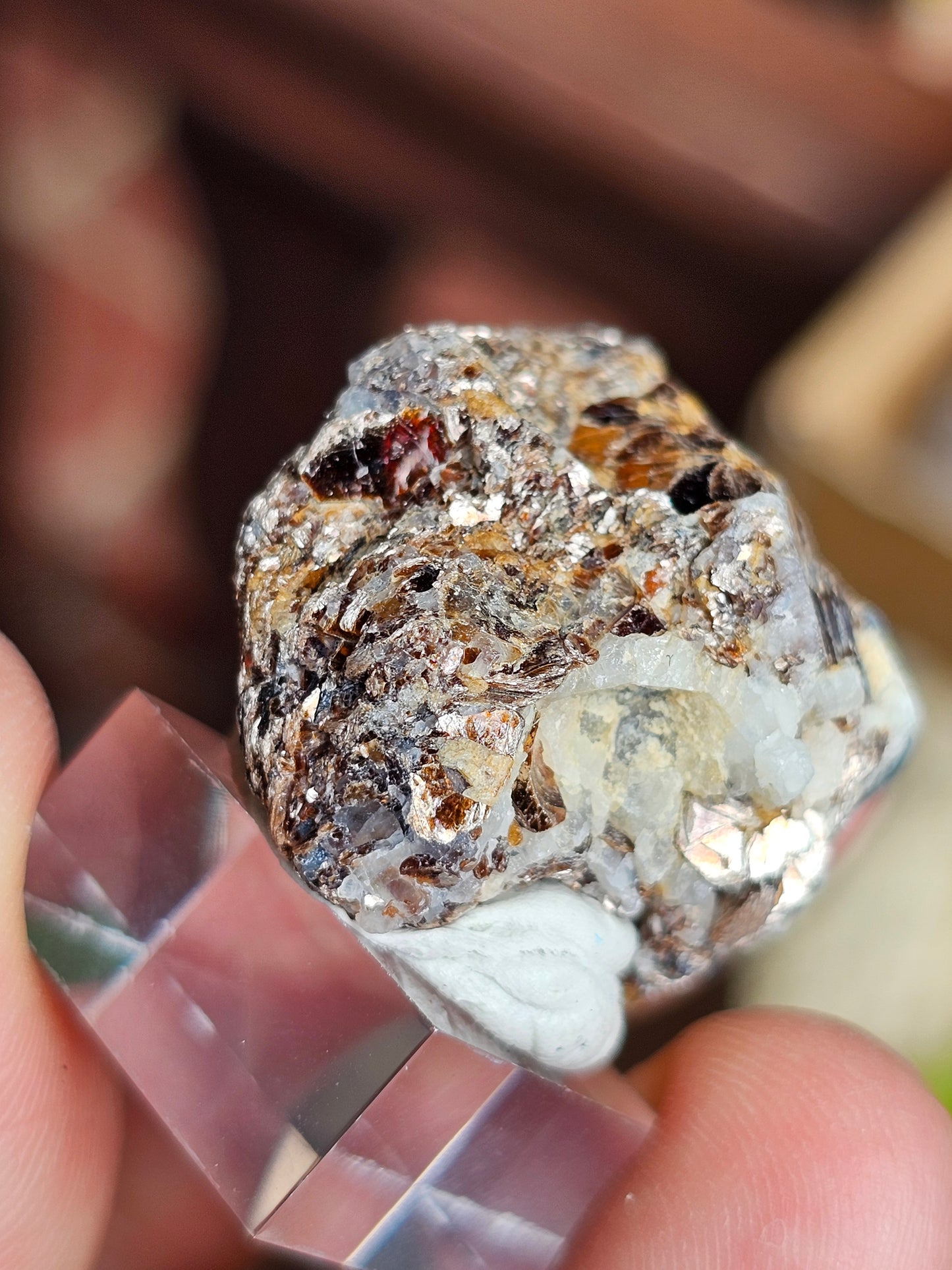 Sapphirine de Madagascar A