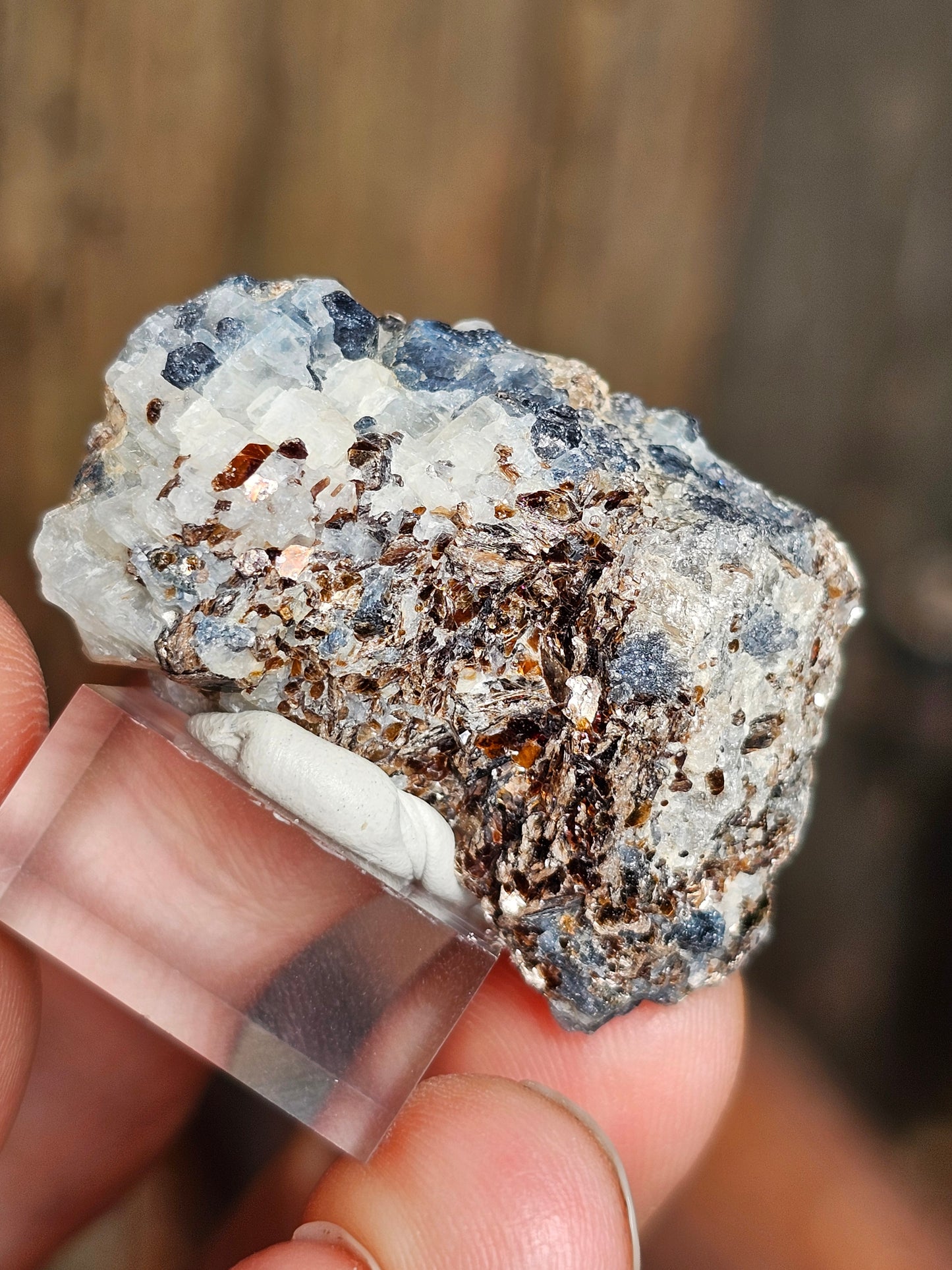 Sapphirine de Madagascar B