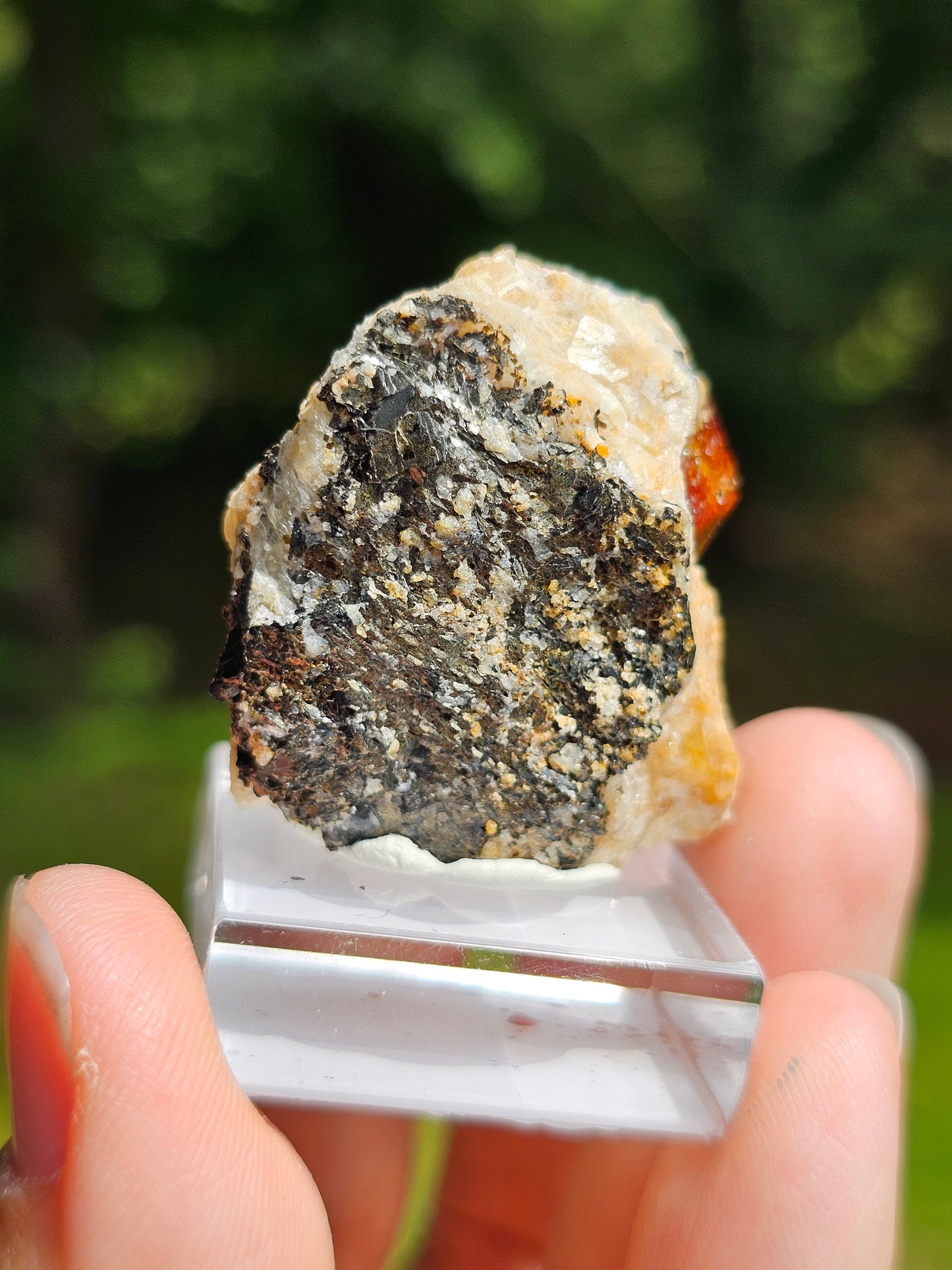 Zircon rouge du Pakistan n°5