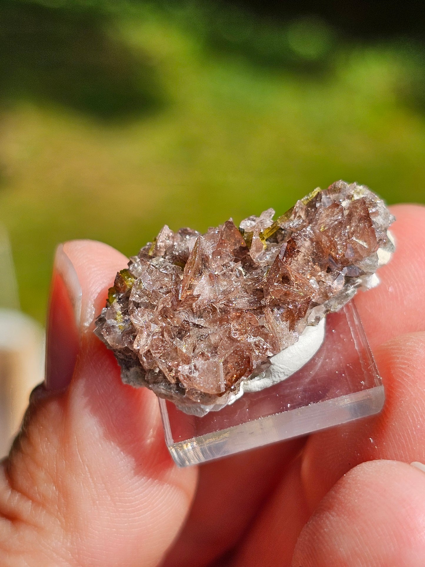 Axinite et Epidote du Pakistan n°2
