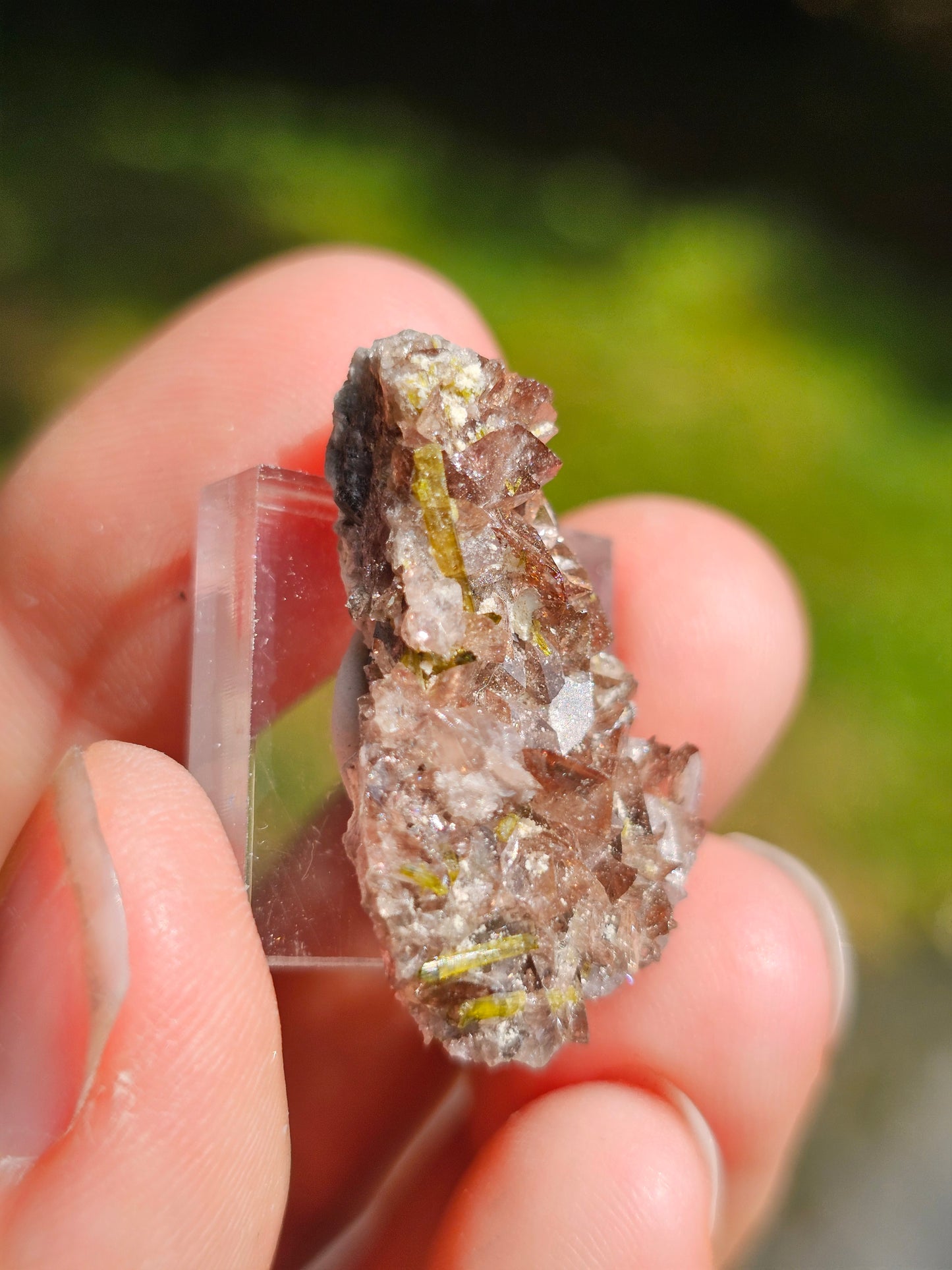 Axinite et Epidote du Pakistan n°2