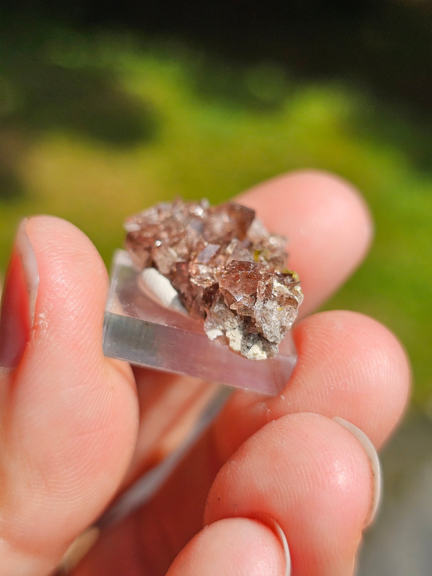 Axinite et Epidote du Pakistan n°2
