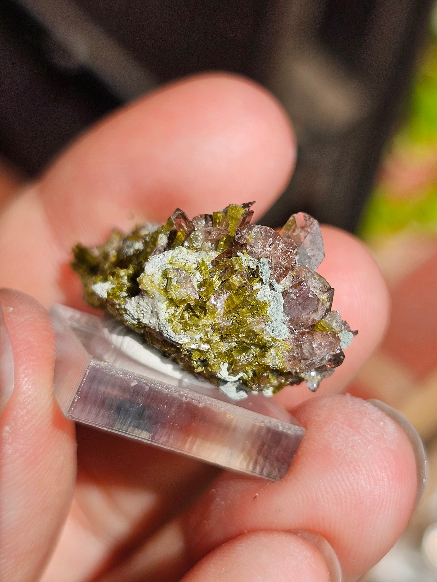 Axinite et Epidote du Pakistan n°3