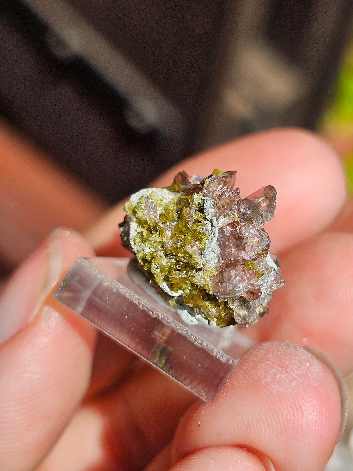 Axinite et Epidote du Pakistan n°3