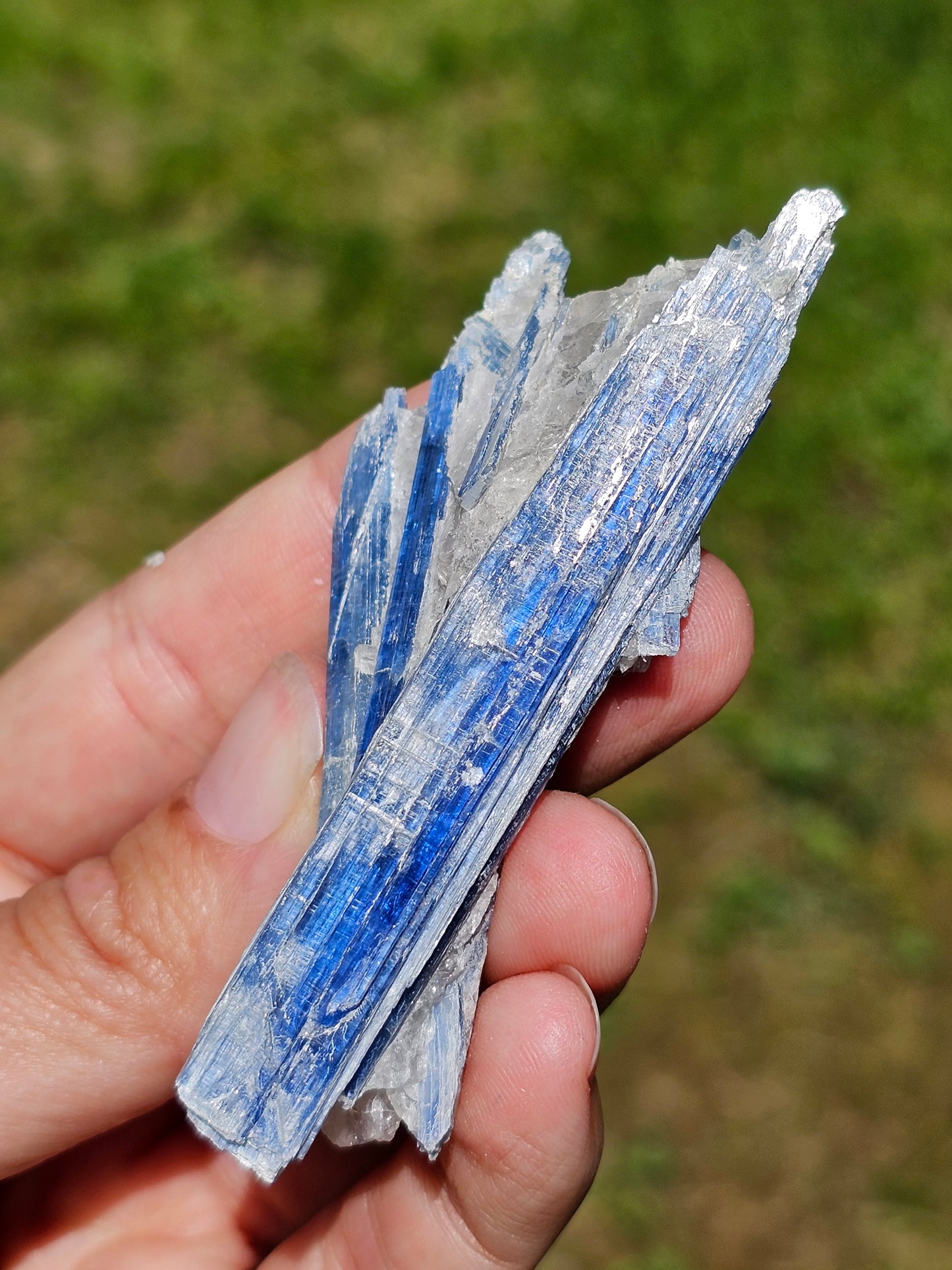 Cyanite bleue brute B