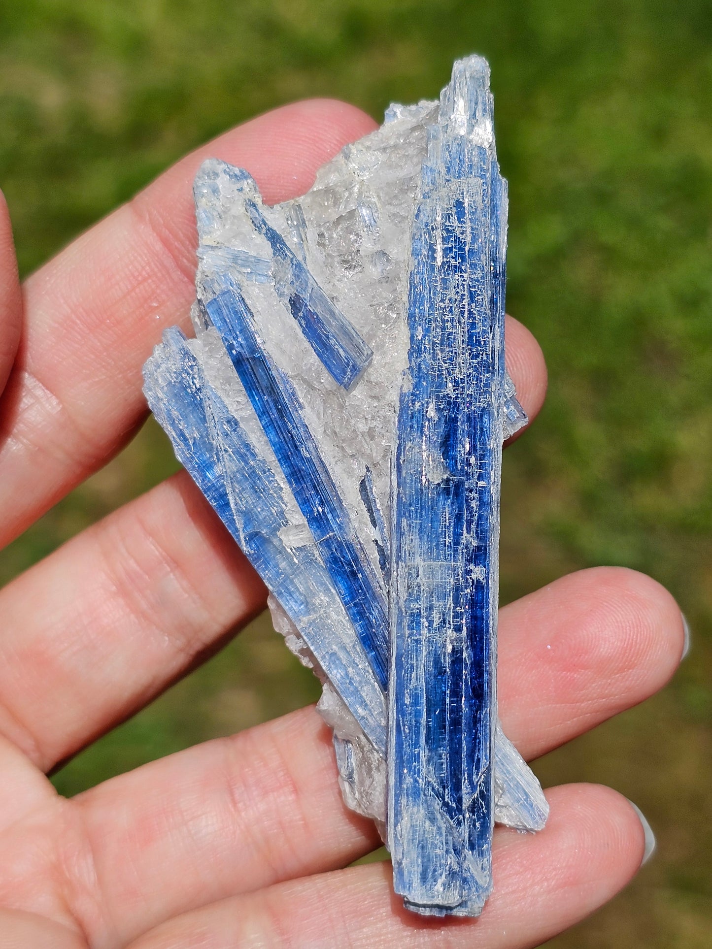 Cyanite bleue brute B