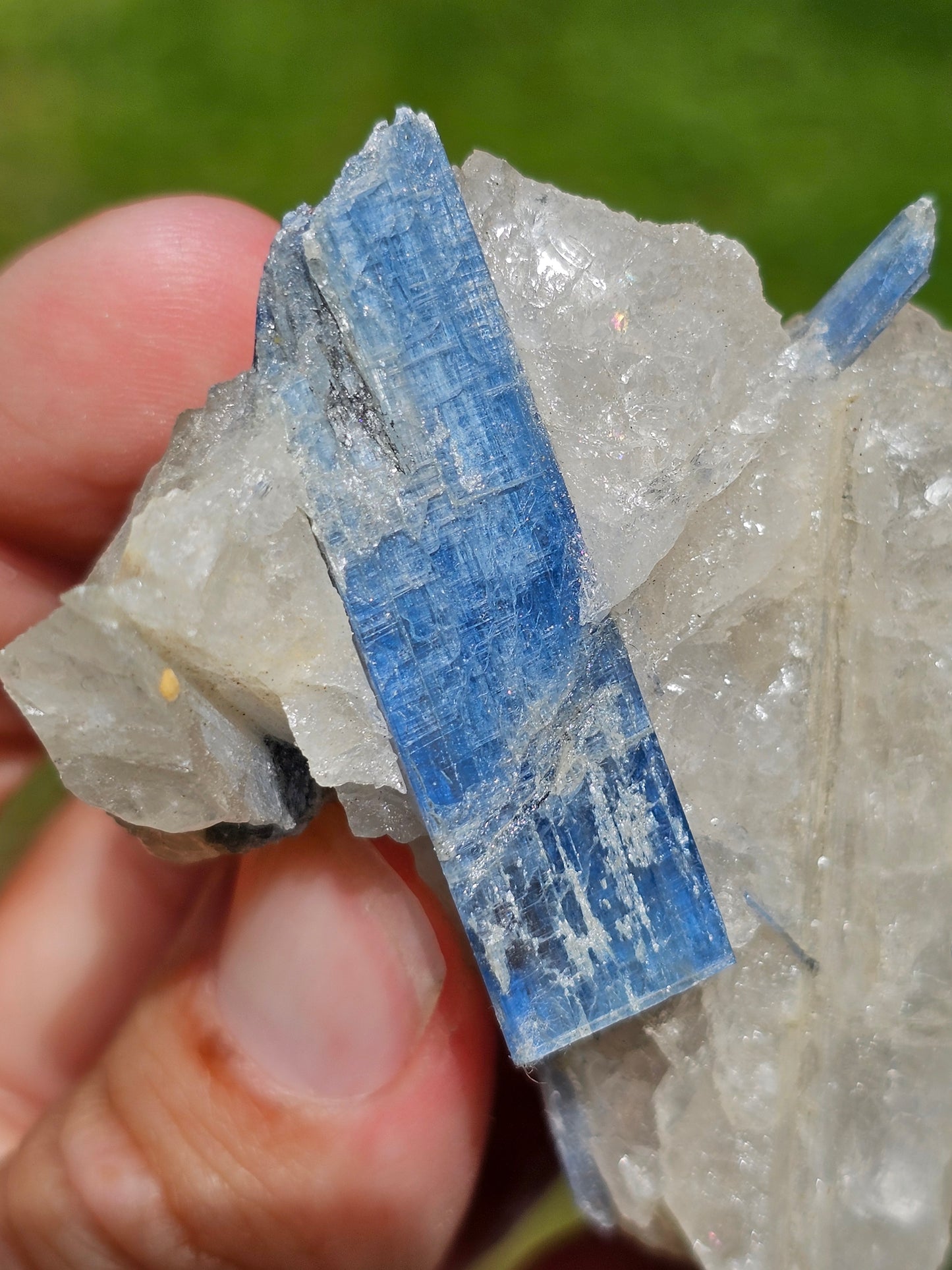Cyanite bleue brute D