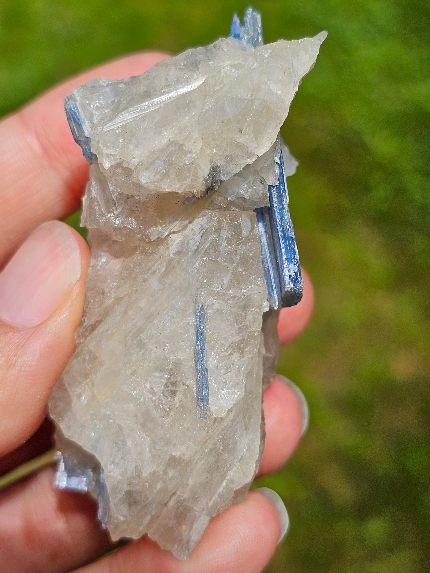 Cyanite bleue brute D
