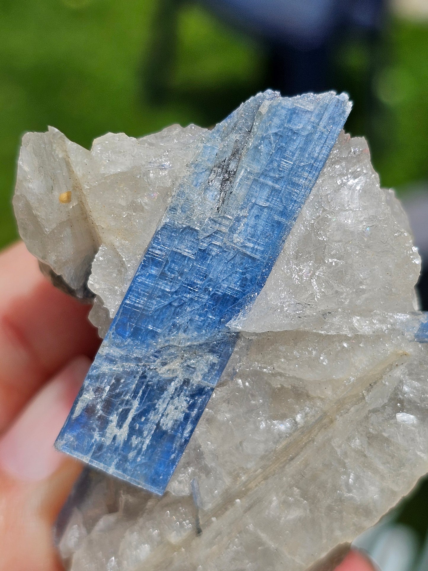 Cyanite bleue brute D