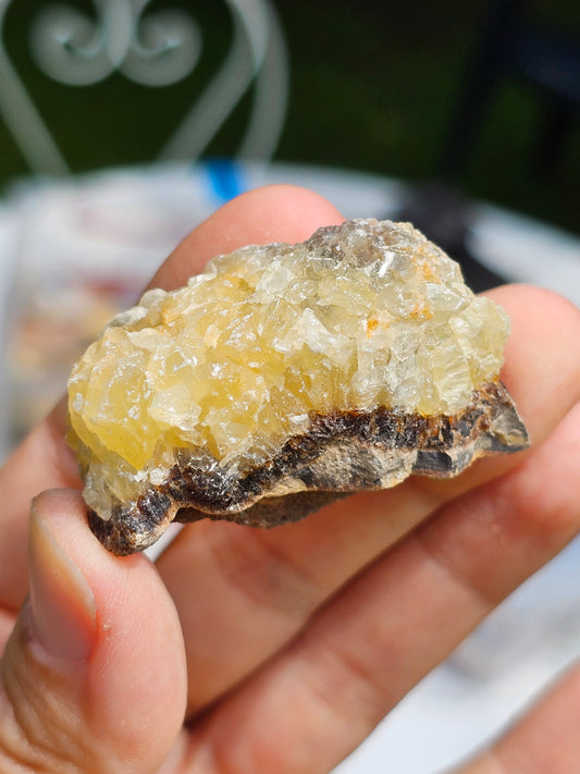 Septaria brute (à choisir)