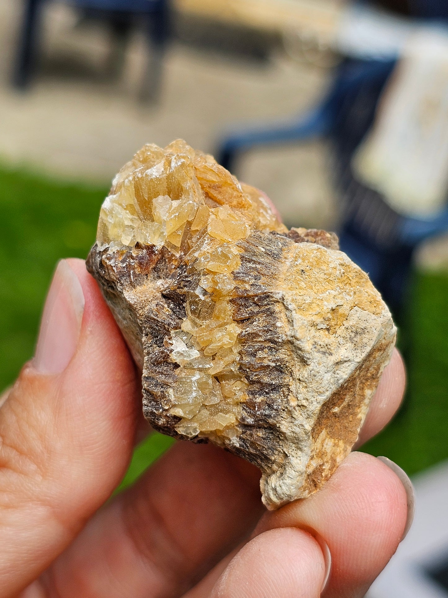 Septaria brute (à choisir)