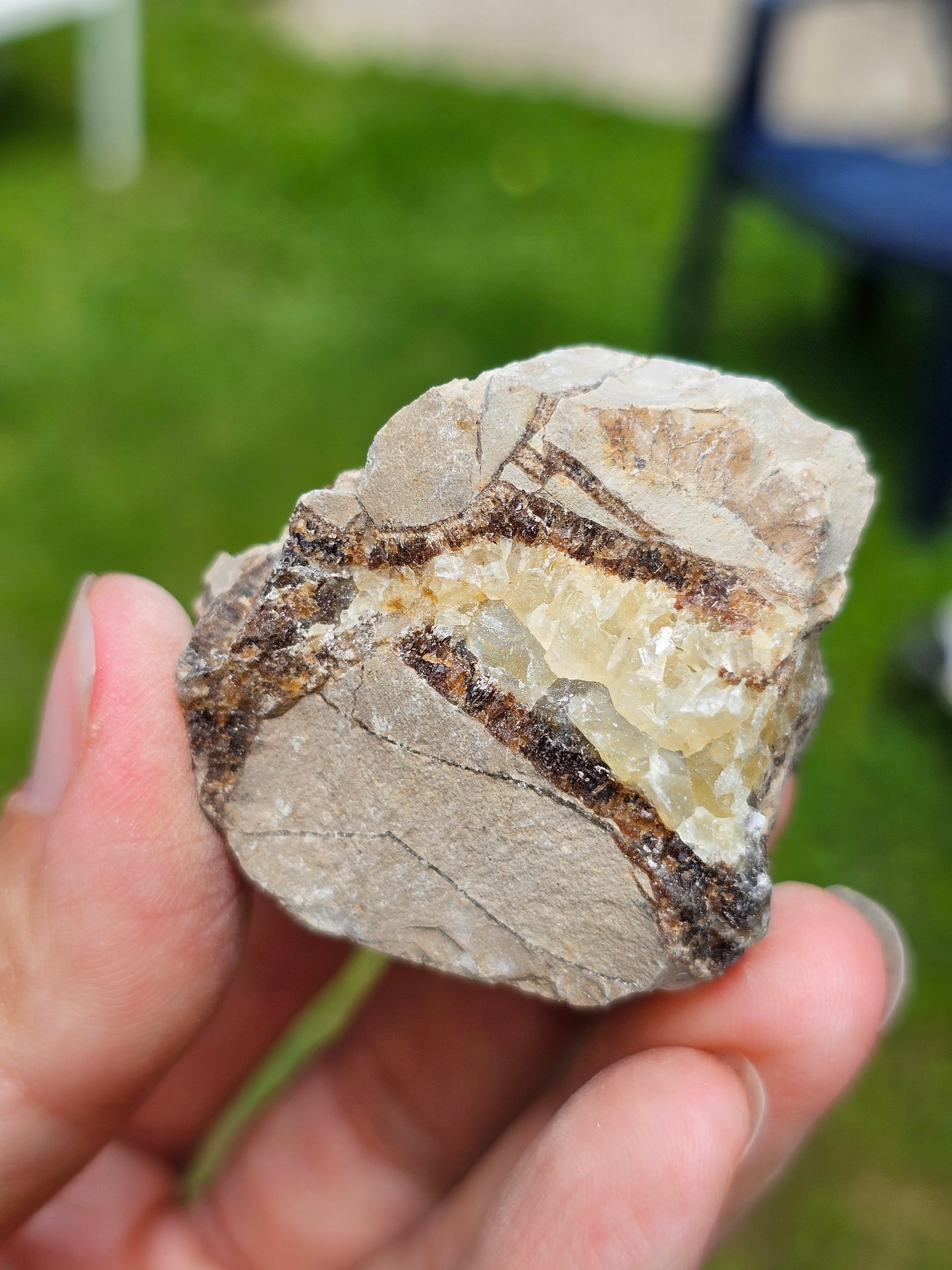Septaria brute (à choisir)
