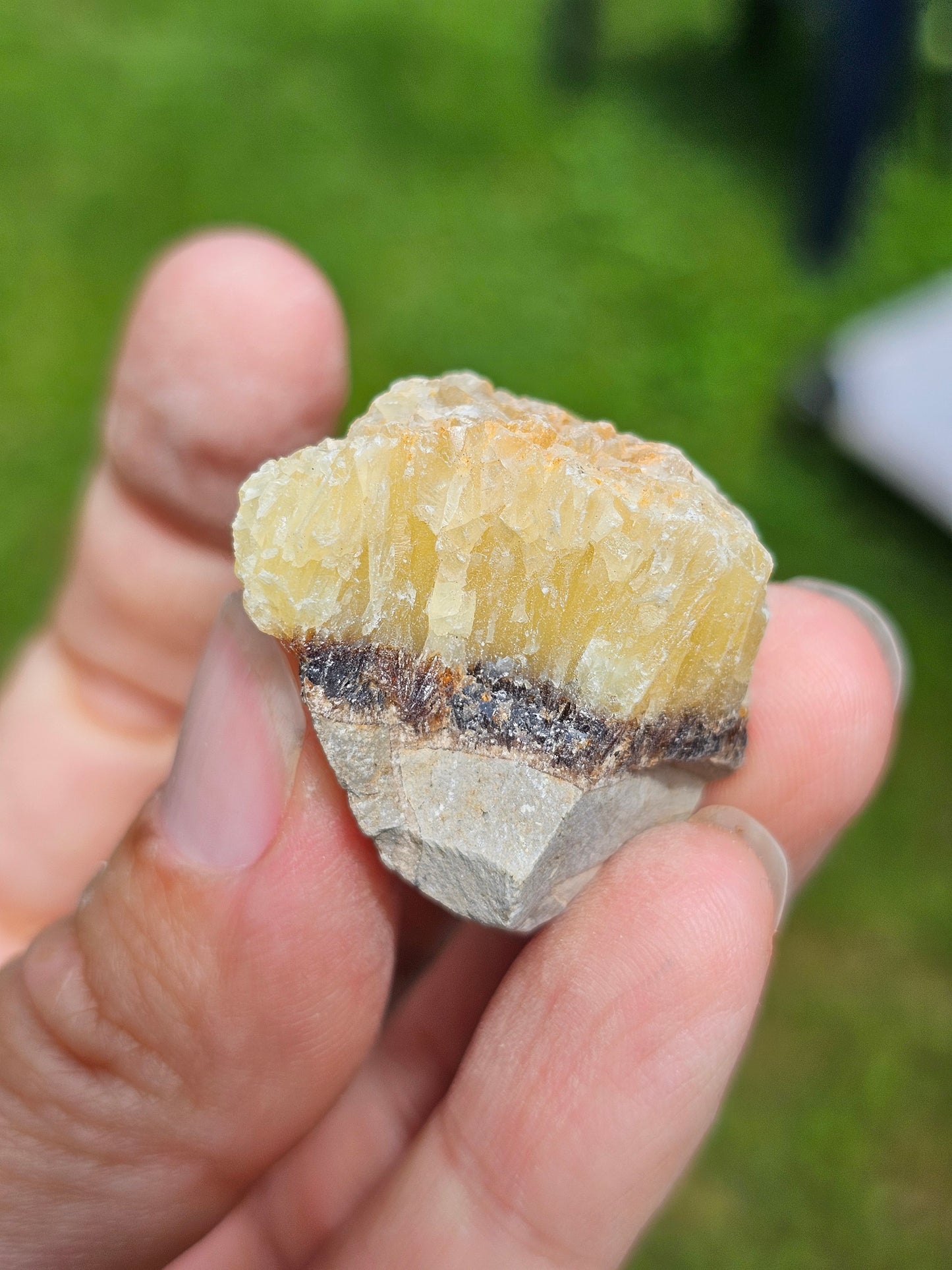 Septaria brute (à choisir)