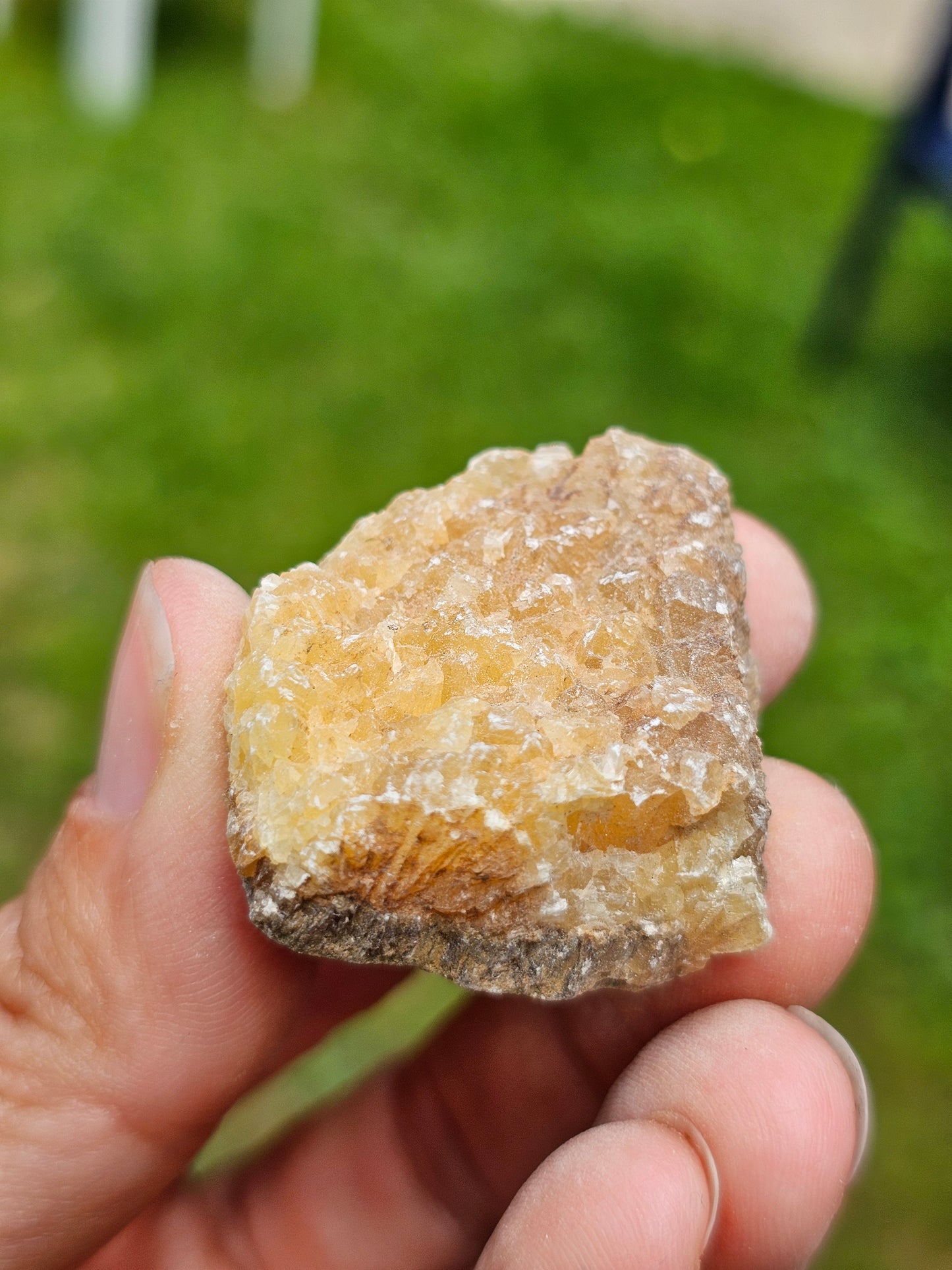 Septaria brute (à choisir)