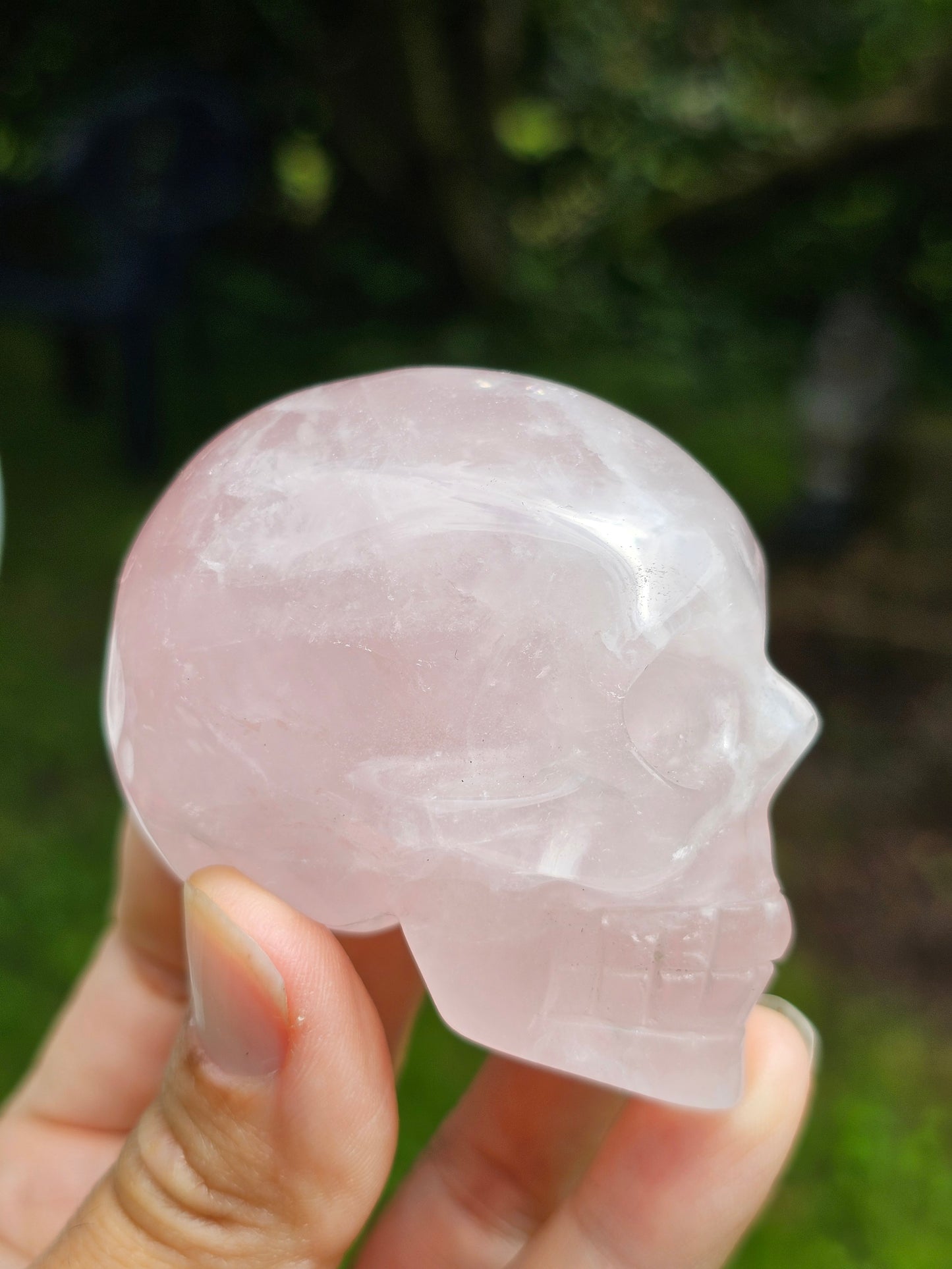 Crâne Quartz rose